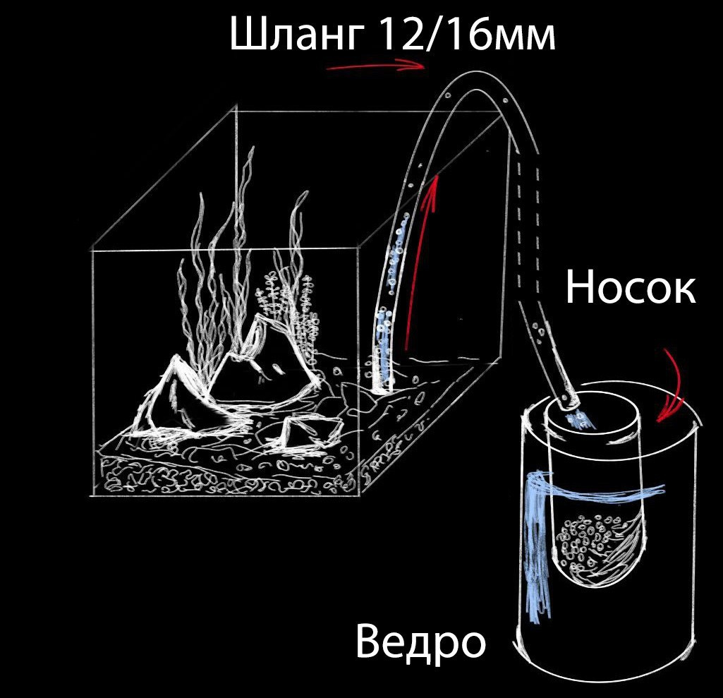 Как, когда и сколько менять soil?. Аквариумист Максим Ерёмин. Aqua Maxim