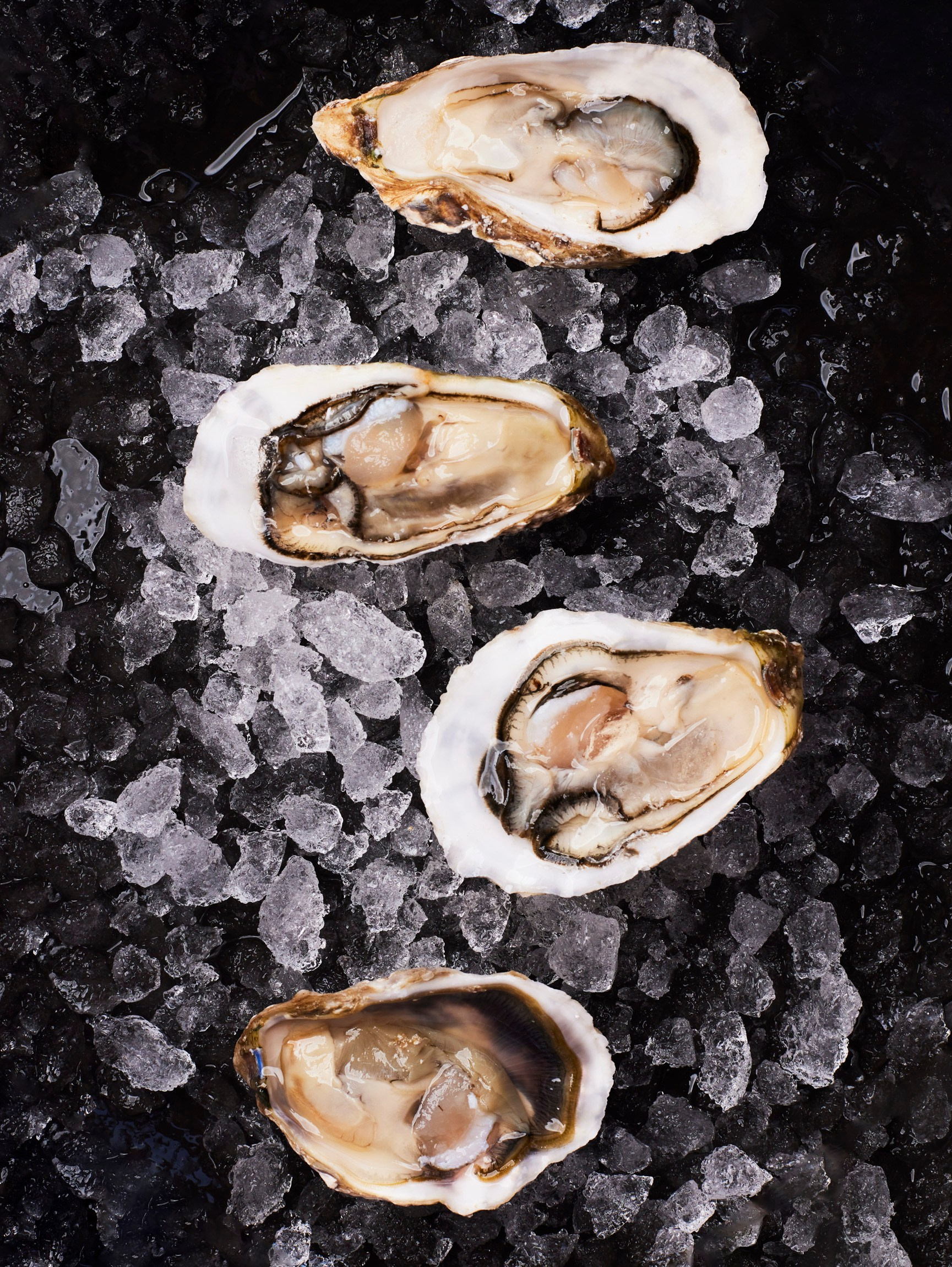 Услуги. Репортажный и постановочный Наталья Санникова