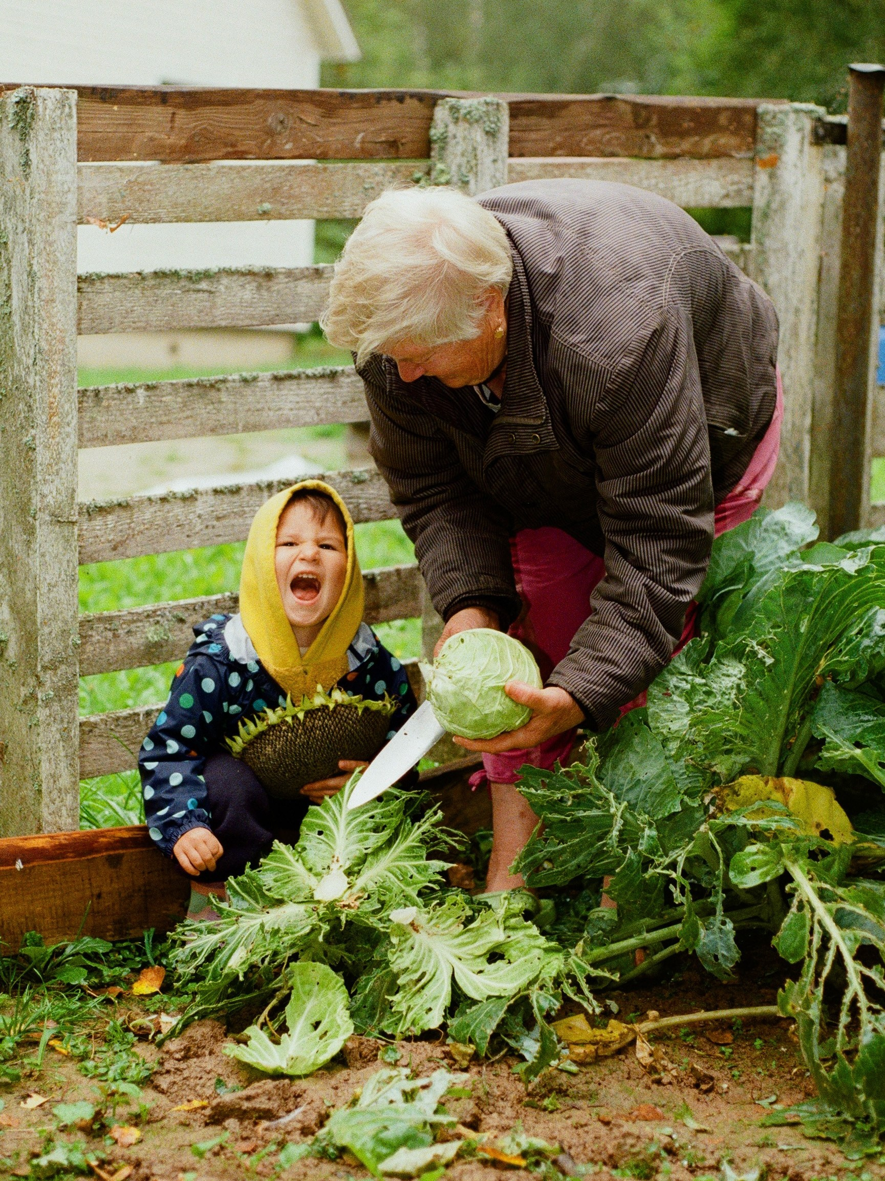 Фотоработы участников выставки «Воспоминания». Арт-фотограф Вика Шаблий, Санкт-Петербург
