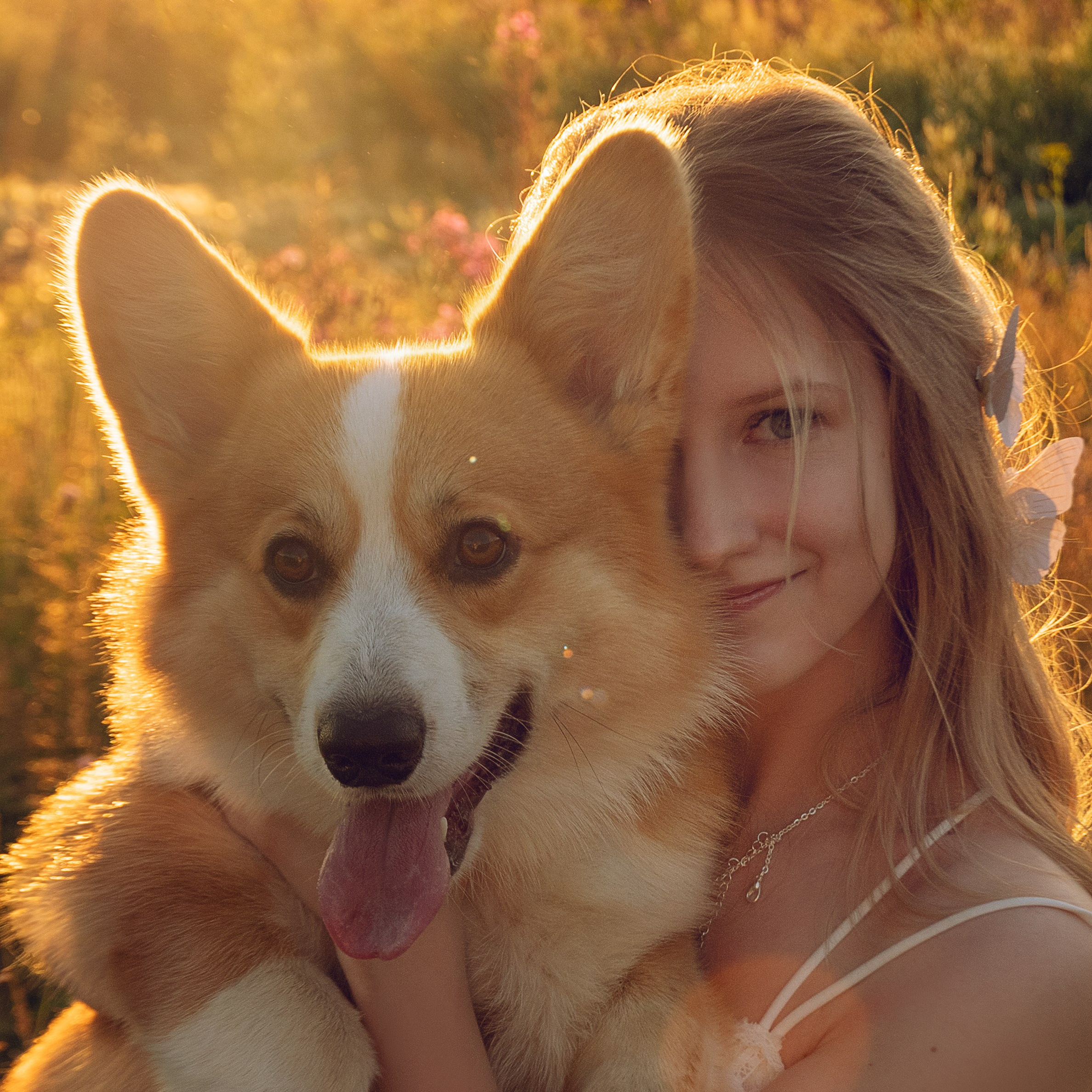 фотограф Иркутск, фотосессия иркутск стоимость, фотосессия иркутск цены, фотосессия иркутск стоимость в студии, сколько стоит фотосессия в иркутске, фотосессия в иркутске цены студии фото, сертификат на фотосессию иркутск, фотограф иркутск цены, елена фотограф иркутск, прайс фотографа в Иркутске, стоимость фотосессии Иркутск, фотосессии с лошадью Иркутск, конный фотограф, фото с собакой Иркутск, анималист Иркутск