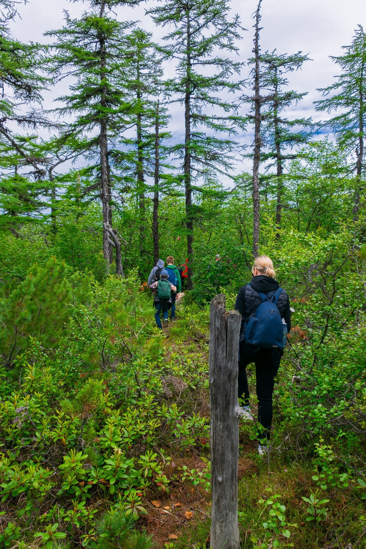 Отзывы. Фотограф Александр Ермолаев семейный и женский фотограф в Магадане