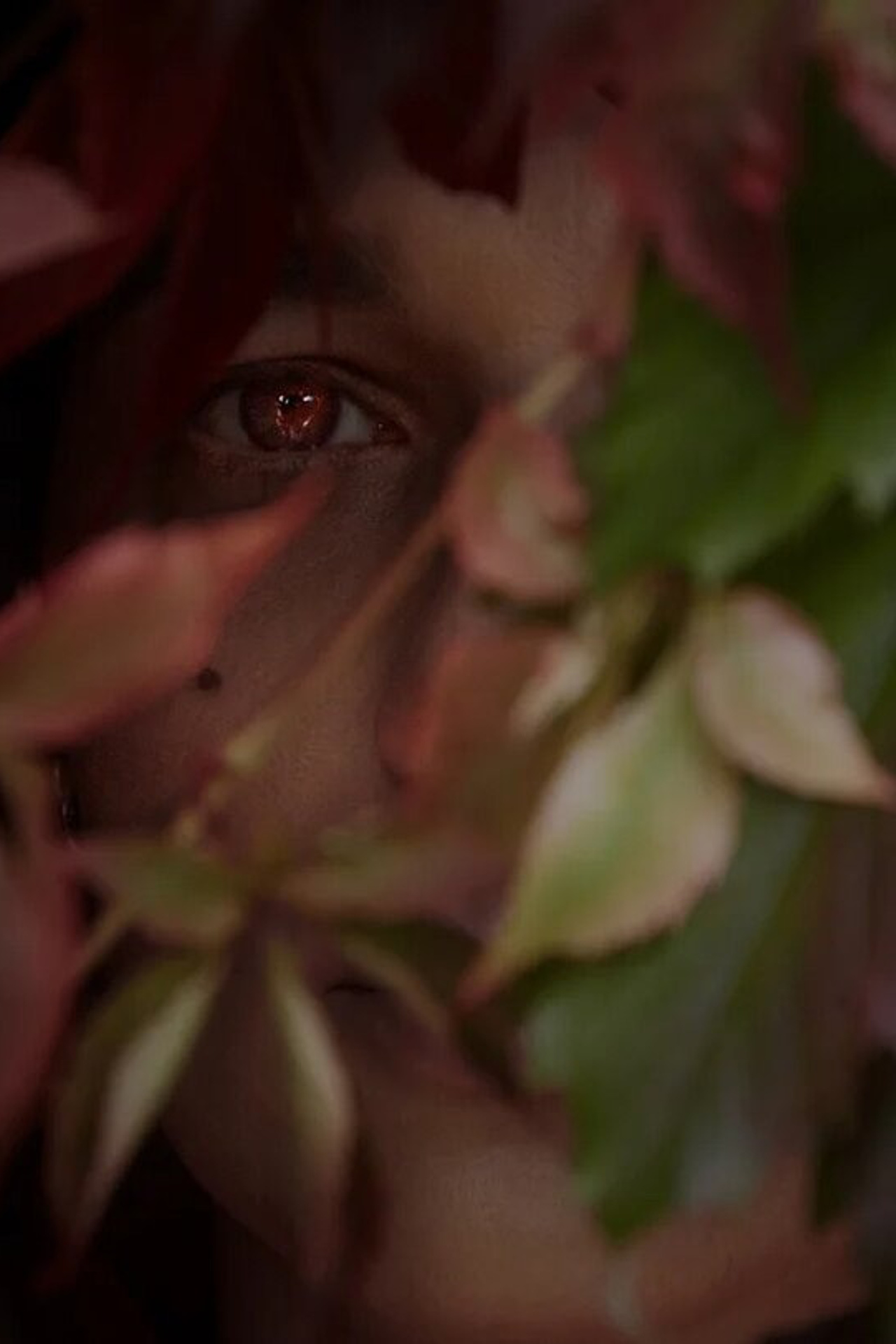 Касуми 2020. Сезон Дождей.