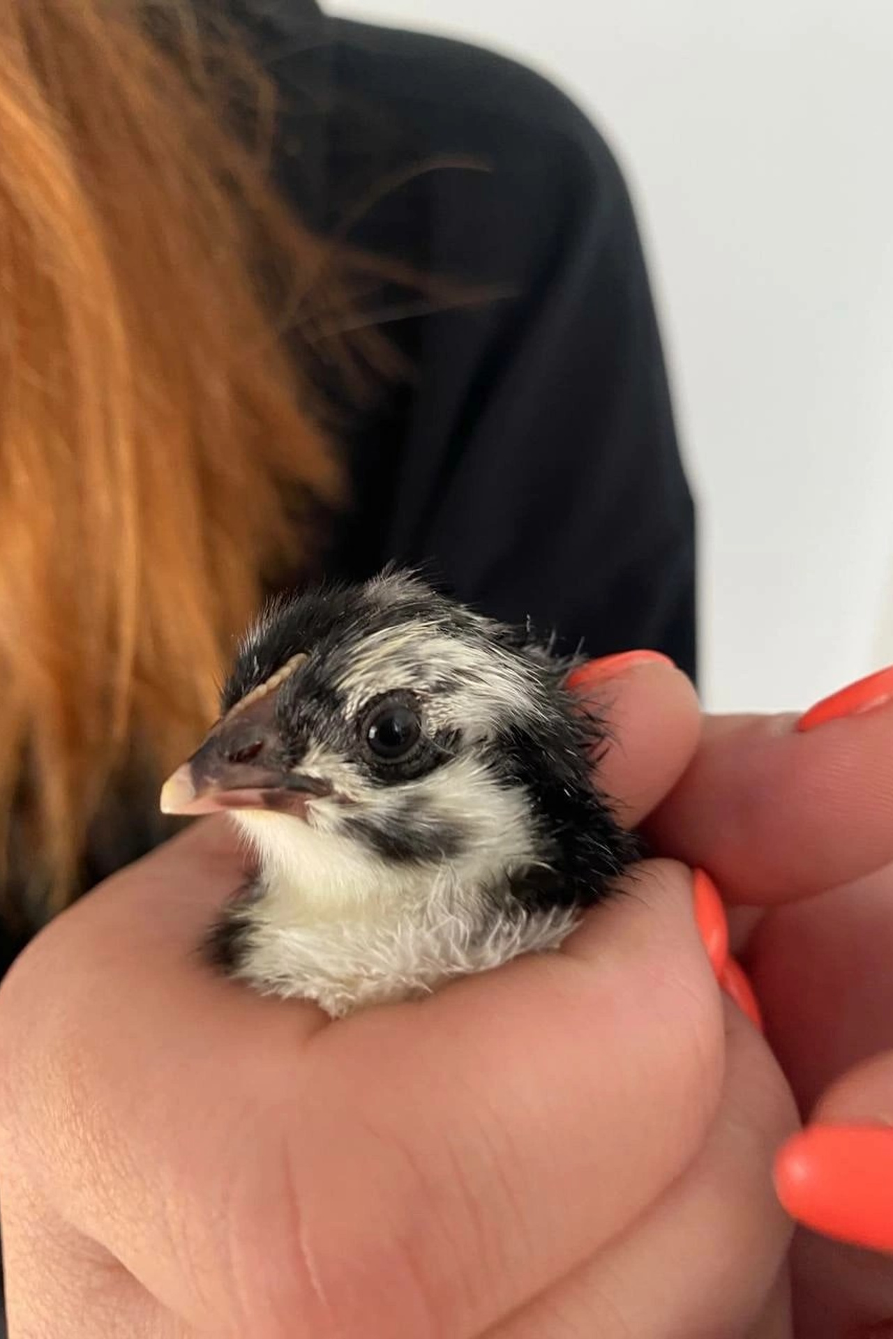 Отзывы. Видеооператор, фотограф в Санкт-Петербурге