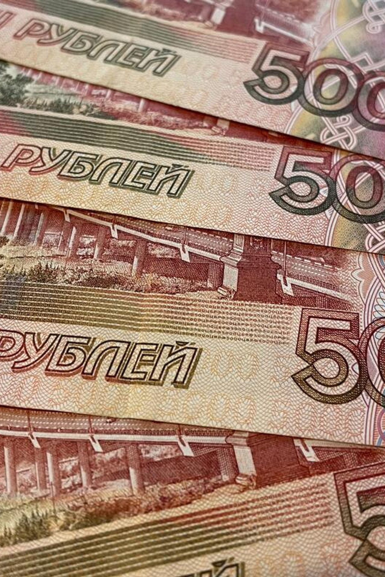 Полезные статьи. Фотограф широкого профиля Чита-Цасучей