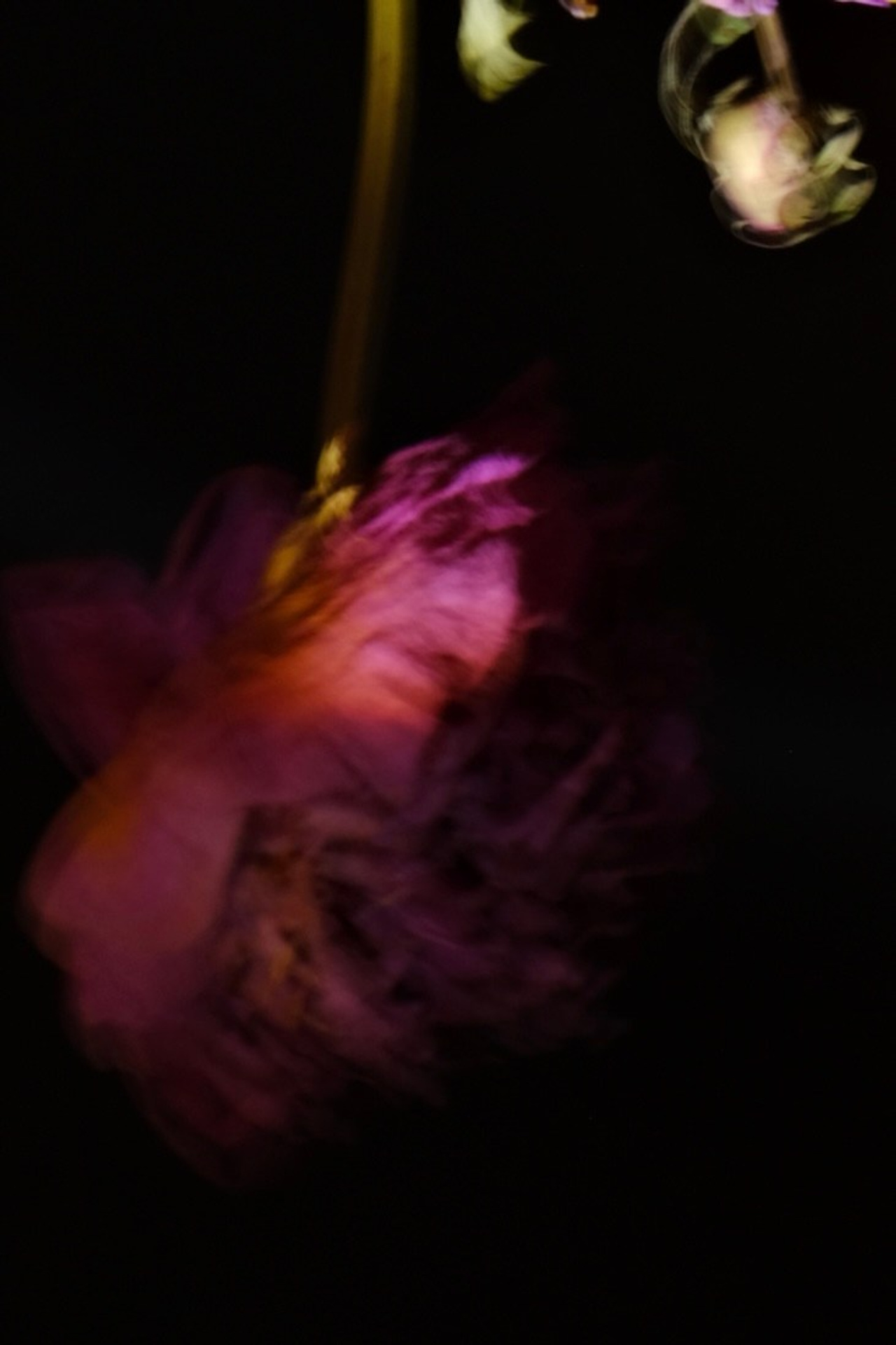 Цветочные принты