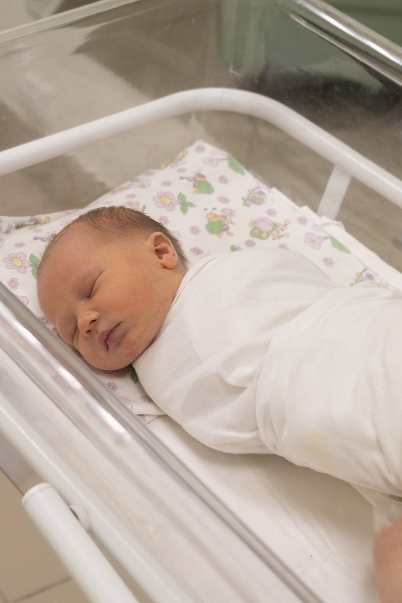 Отзывы. Фотограф Барнаул | Александр Сысоев