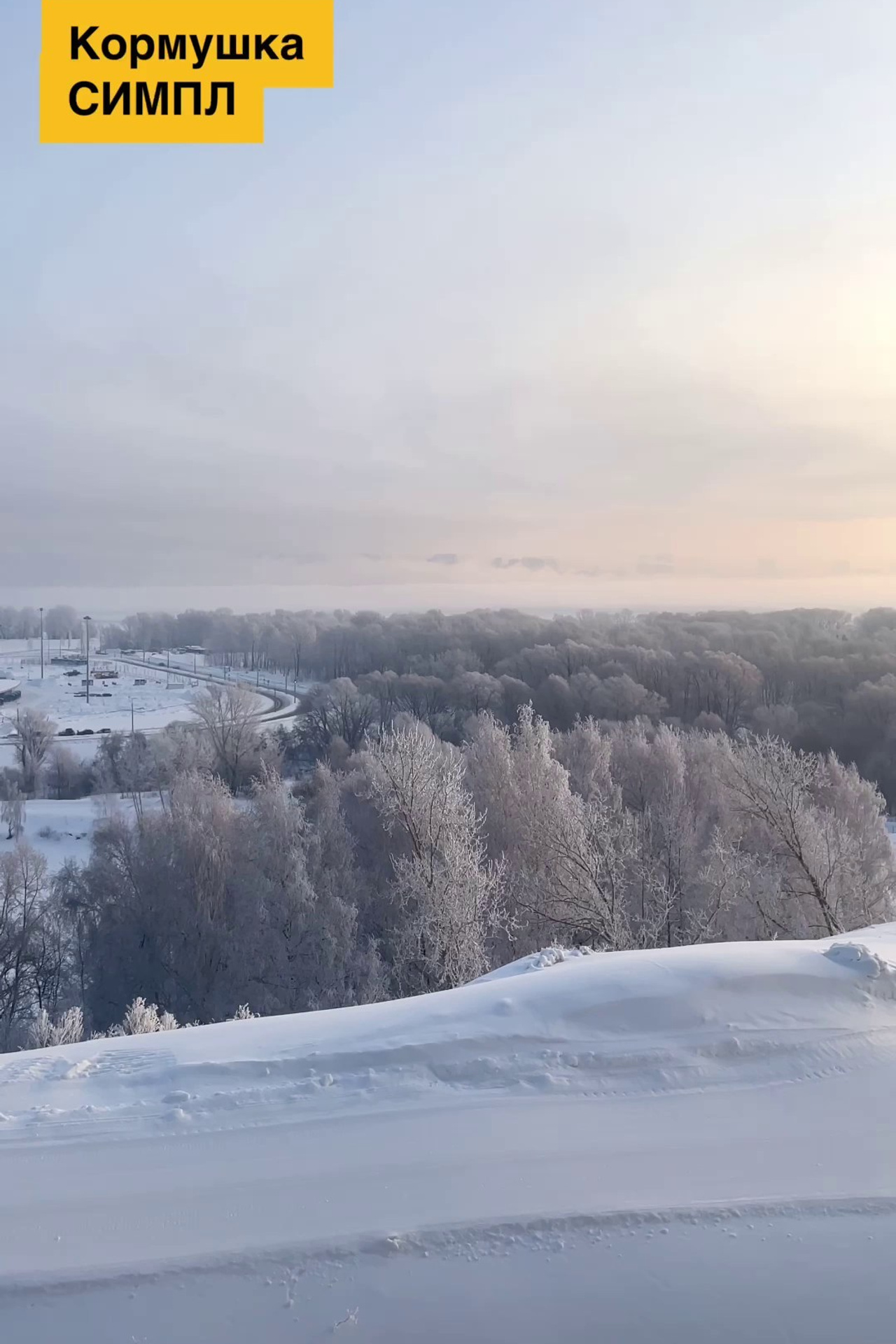 СИМПЛ. Кормушки для птиц на окно Чирик-Чирик