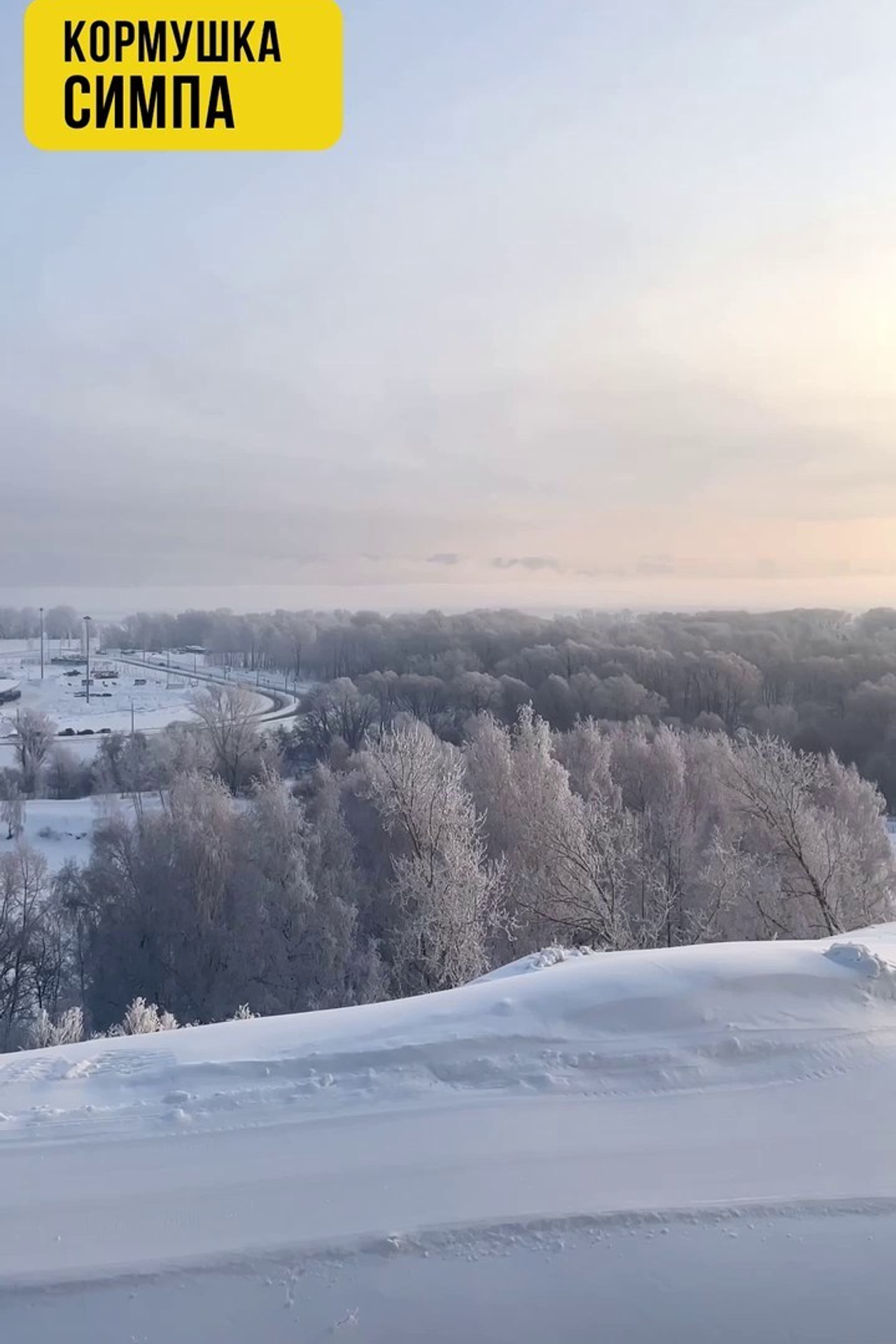 СИМПА. Кормушки для птиц на окно Чирик-Чирик