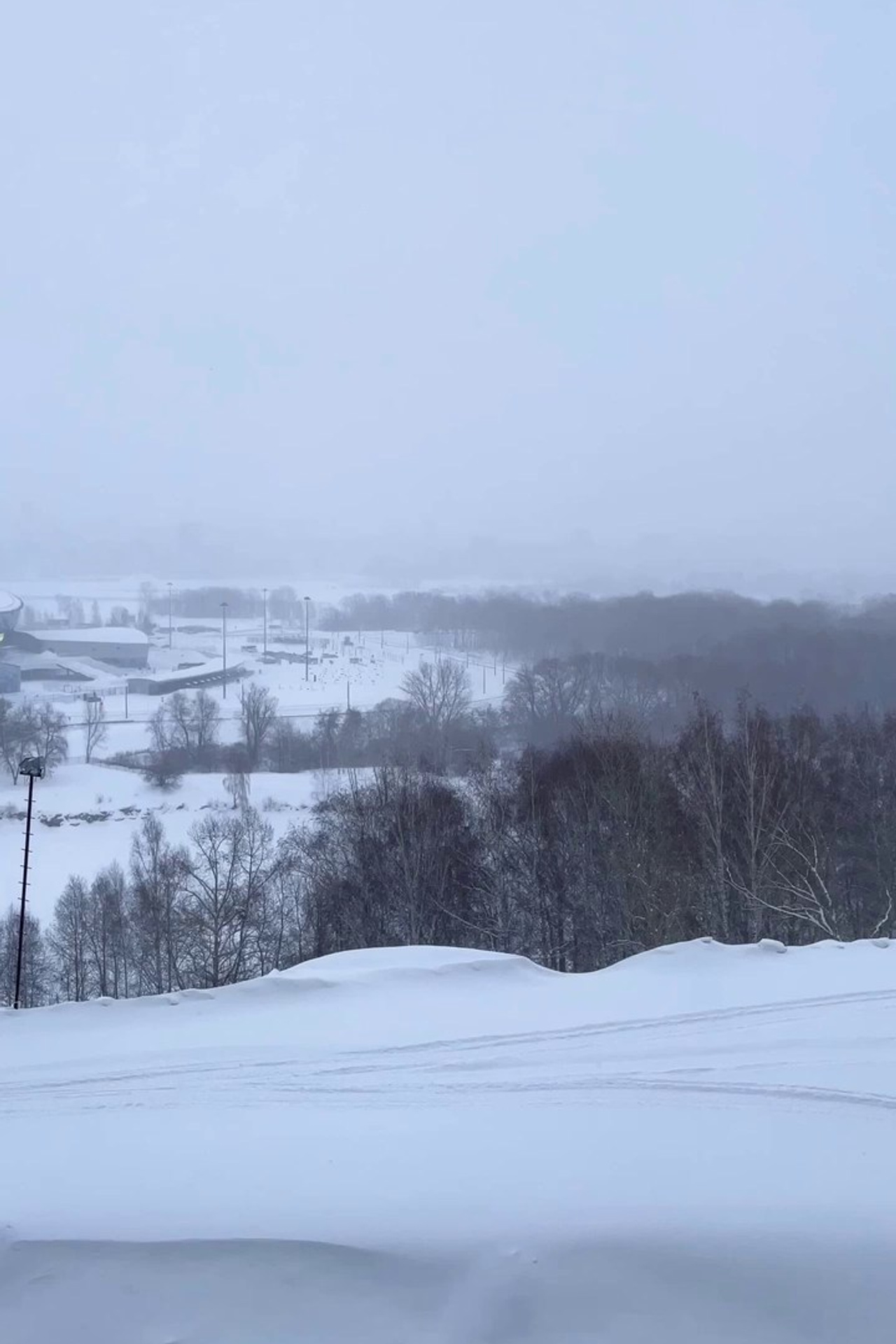 МУЛЬТИПОИЛКА. Кормушки для птиц на окно Чирик-Чирик
