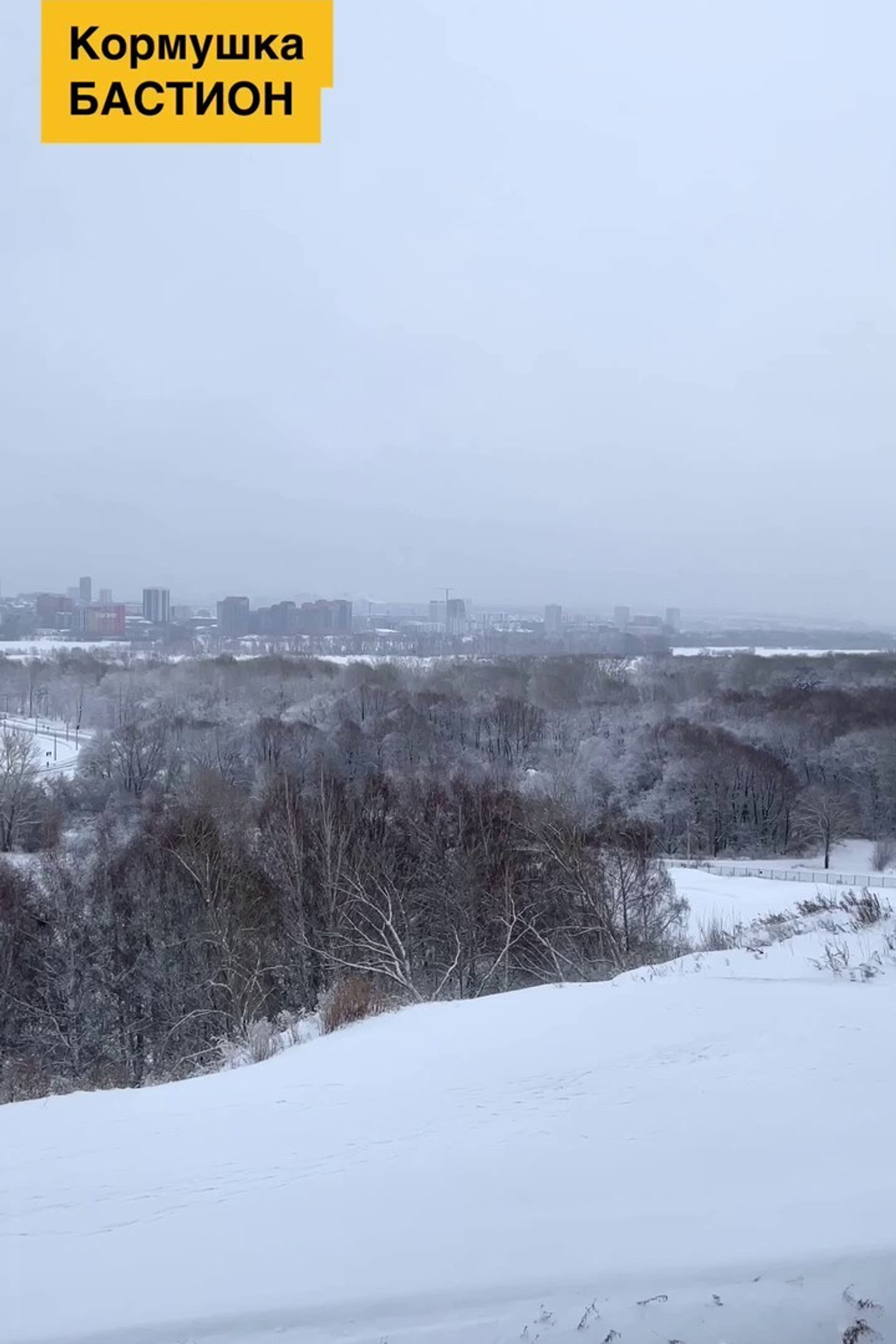 БАСТИОН. Кормушки для птиц на окно Чирик-Чирик