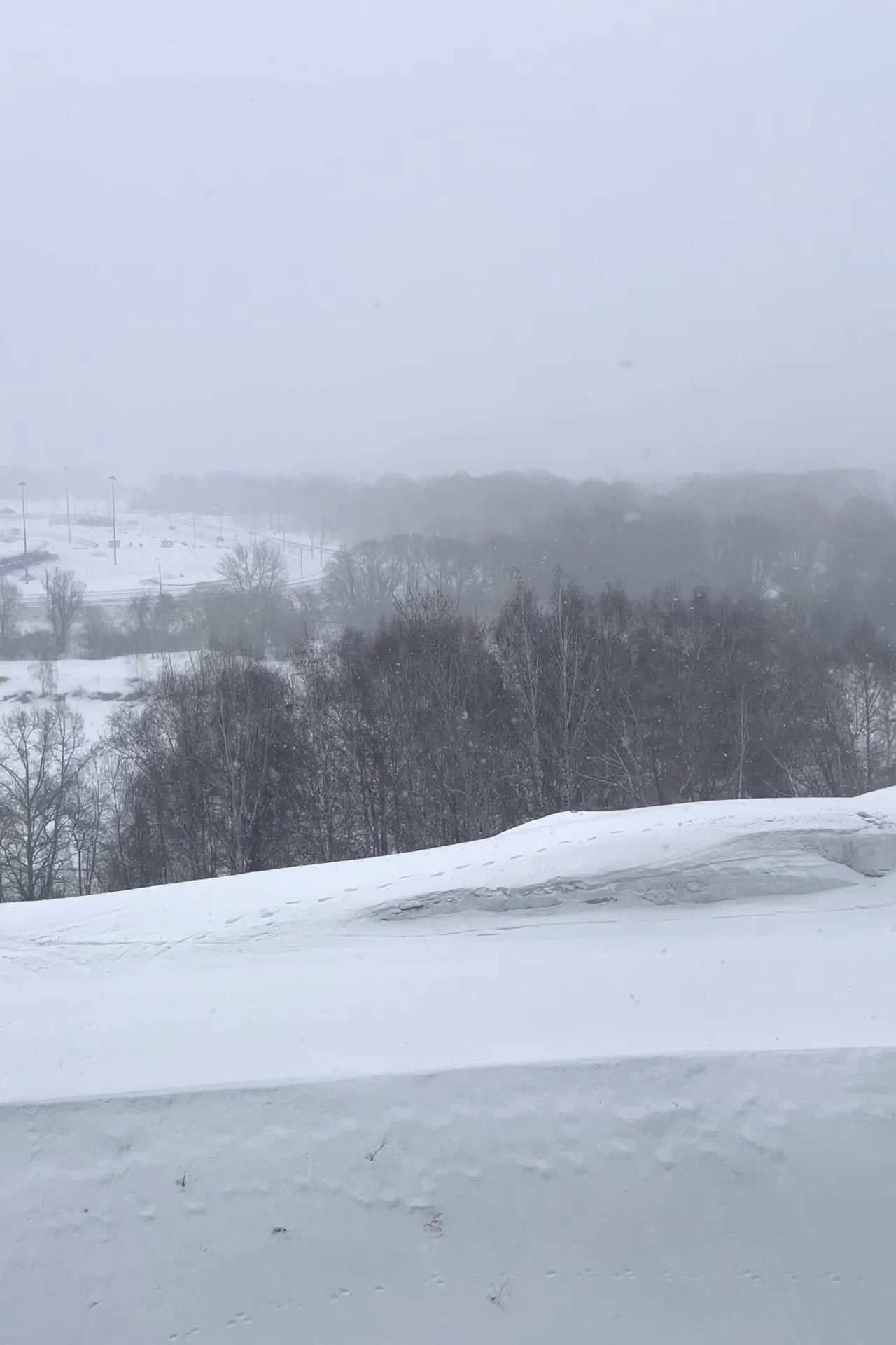 АРАХАРА. Кормушки для птиц на окно Чирик-Чирик