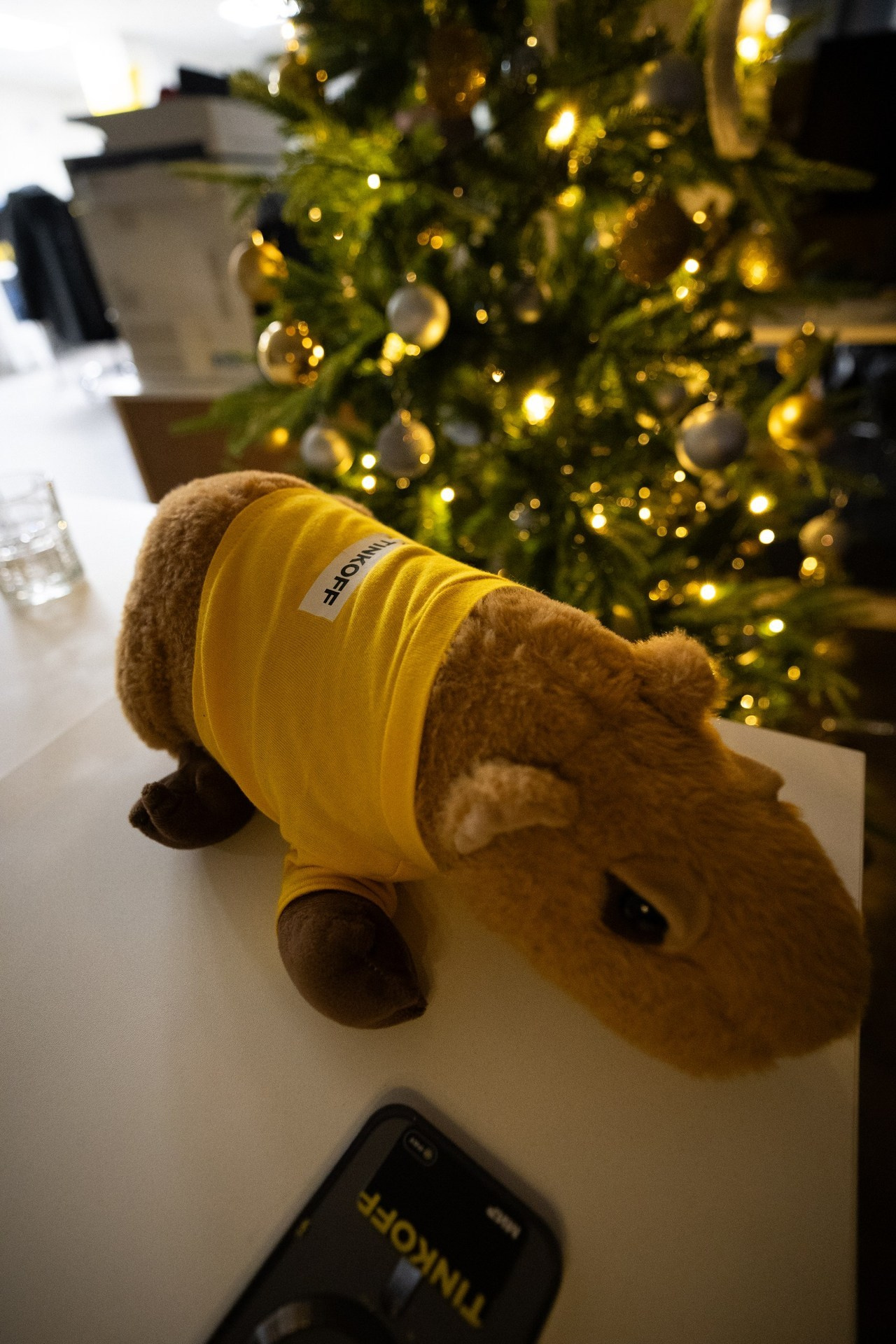 Отзывы из альбомов