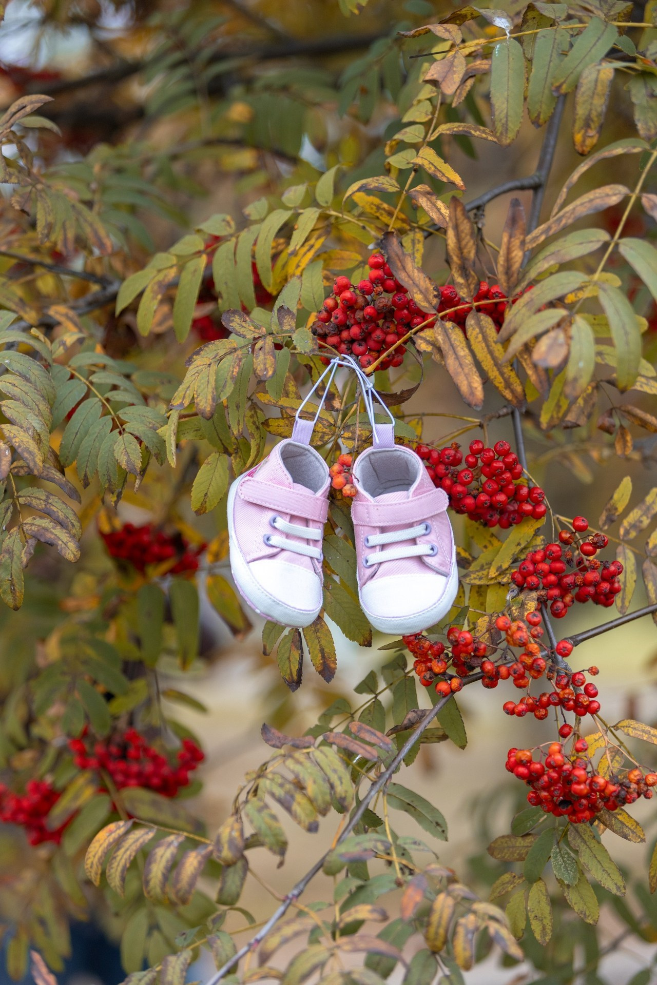 Отзывы. Профессиональный интерьерный и репортажный фотограф Минск и РБ. Максим Орлов
