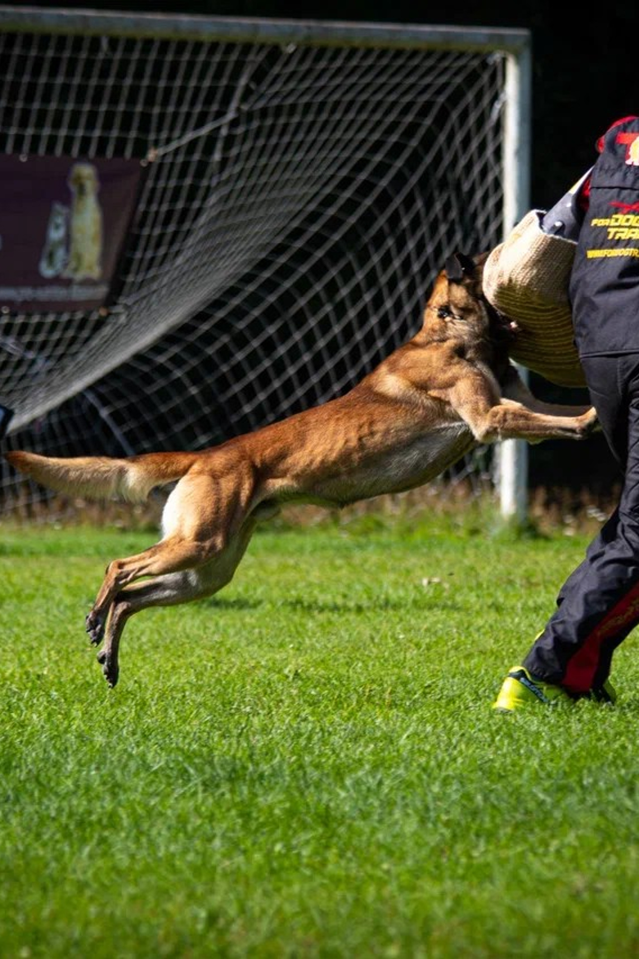 Квалификационные испытания по IGP