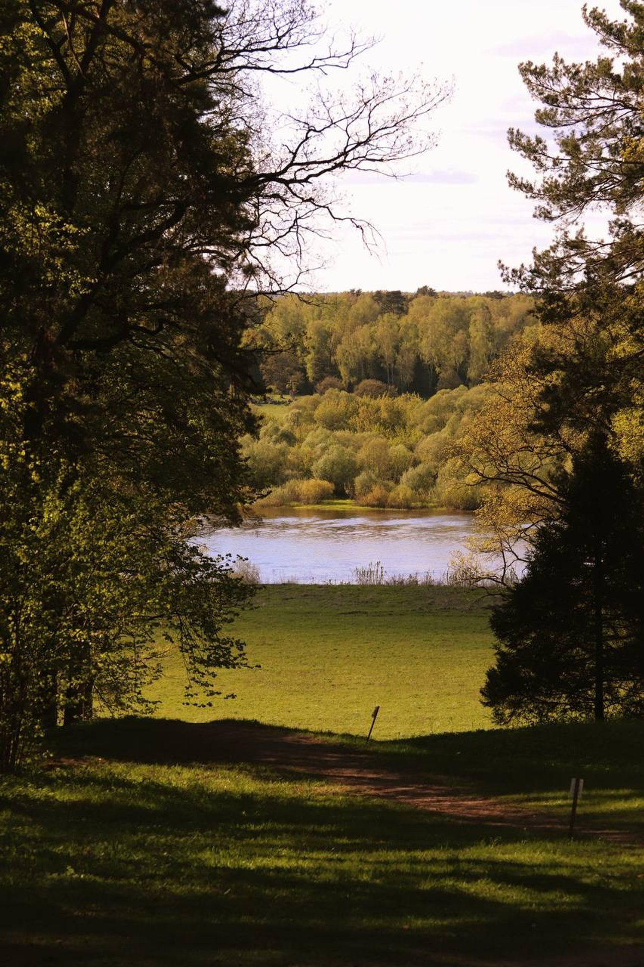 Блог. Концертный фотограф