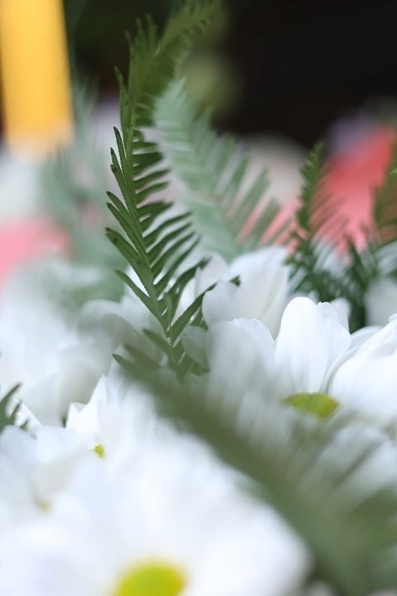 Отзывы. Вячеслав Раздобреев Свадебный Видеограф Чита