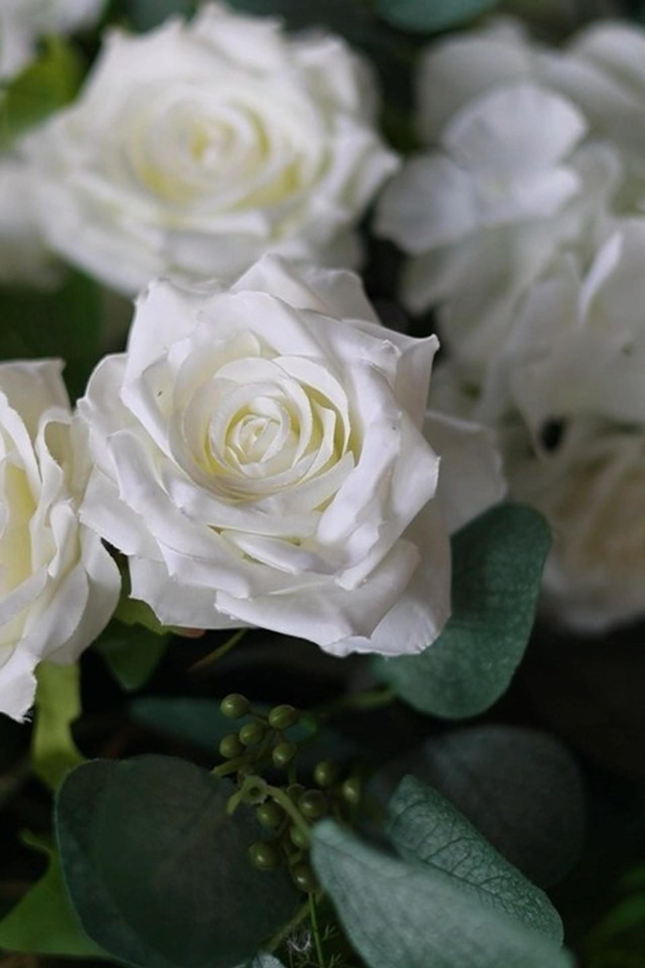 Отзывы. Вячеслав Раздобреев Свадебный Видеограф Чита