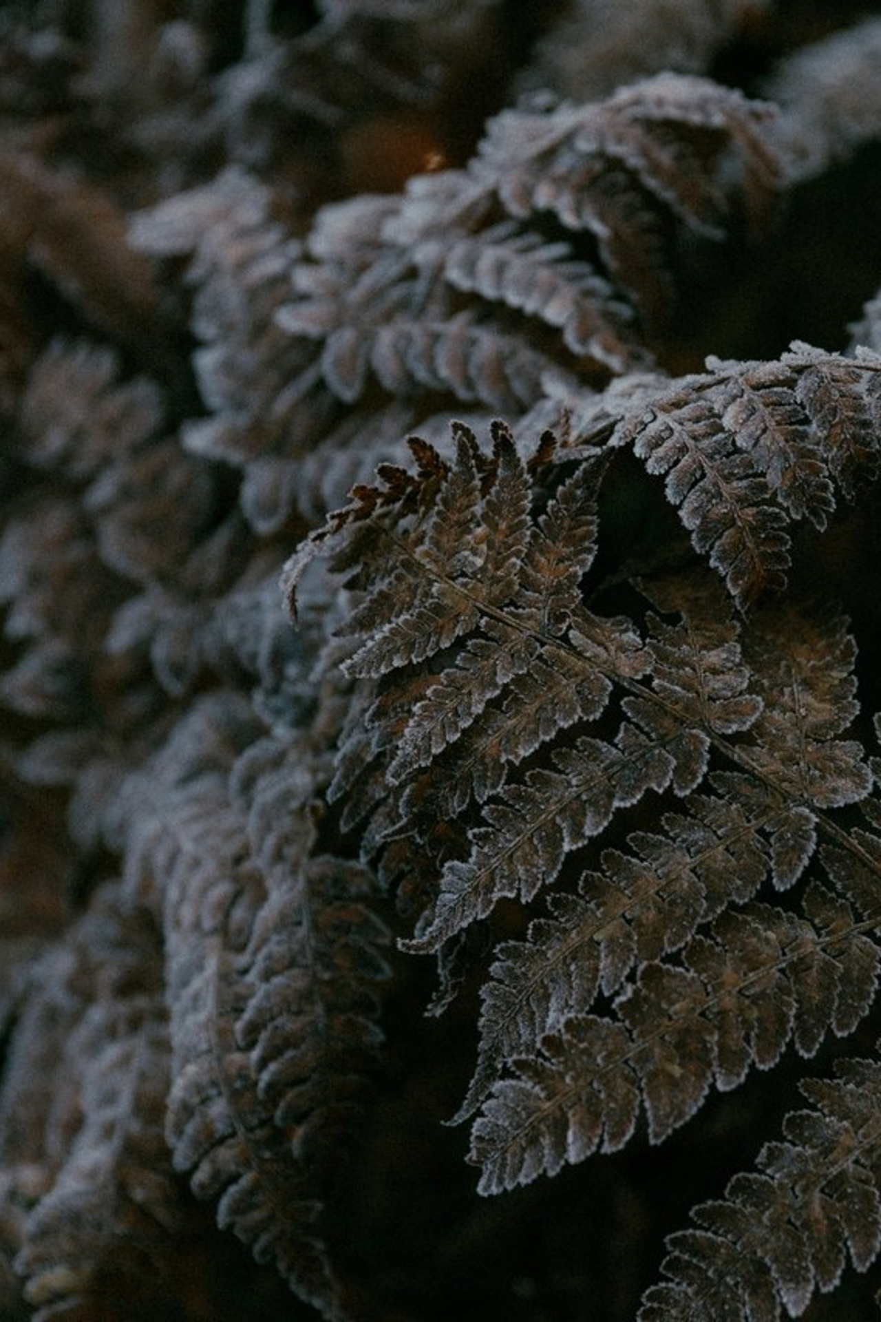 Отзывы. Свадебный и репортажный фотограф в Санкт-Петербурге