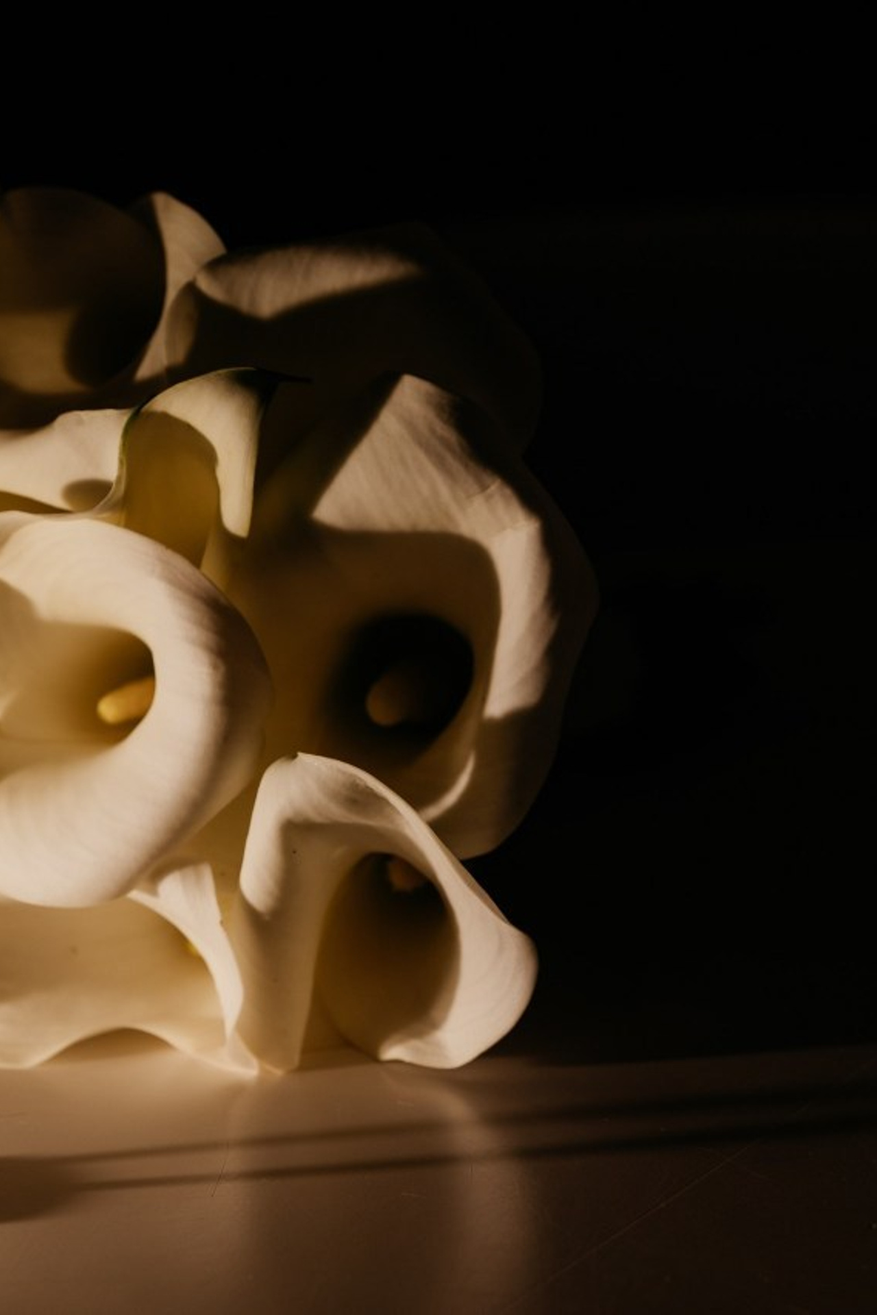 Отзывы. Свадебный и репортажный фотограф в Санкт-Петербурге