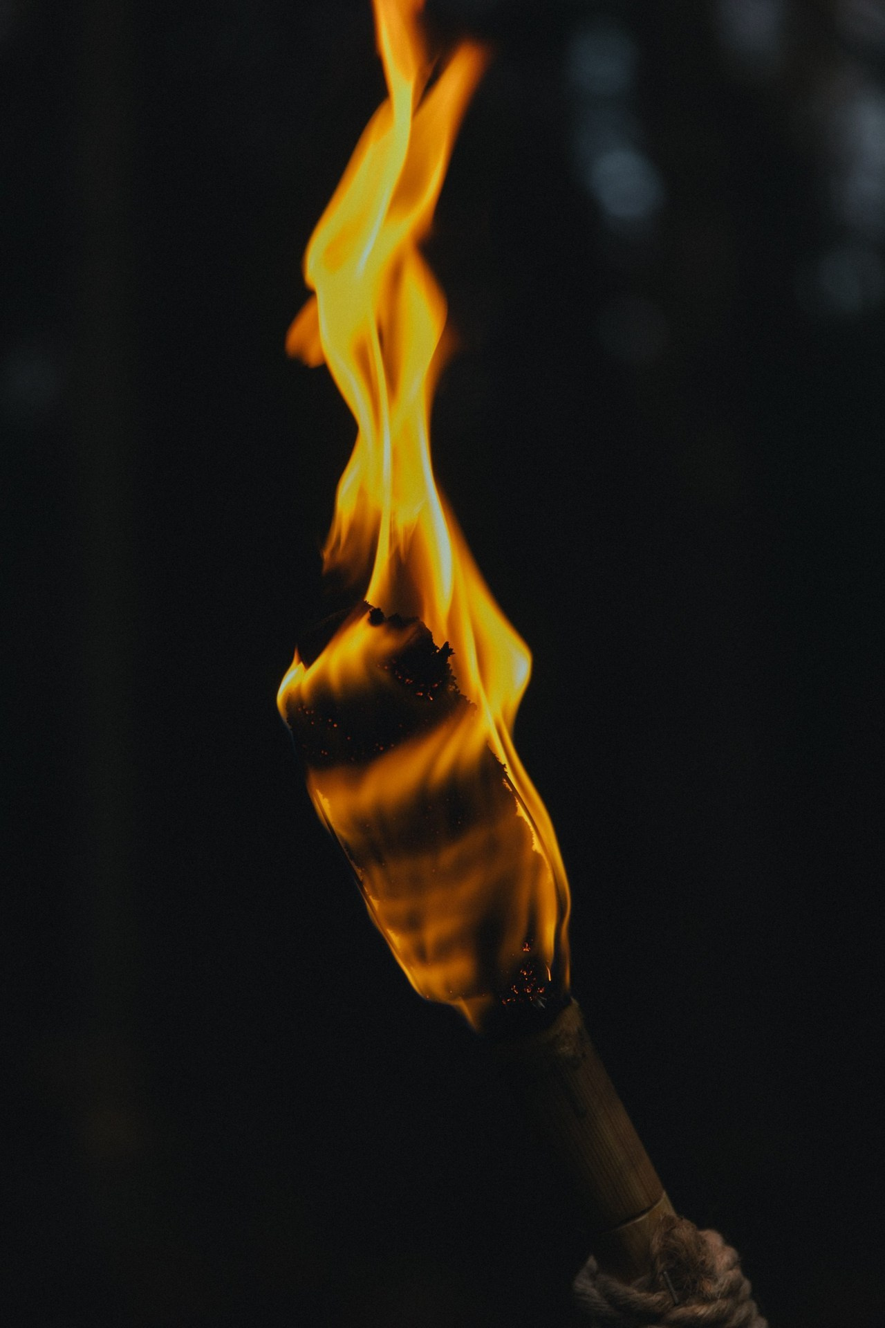 Отзывы. Свадебный и репортажный фотограф в Санкт-Петербурге