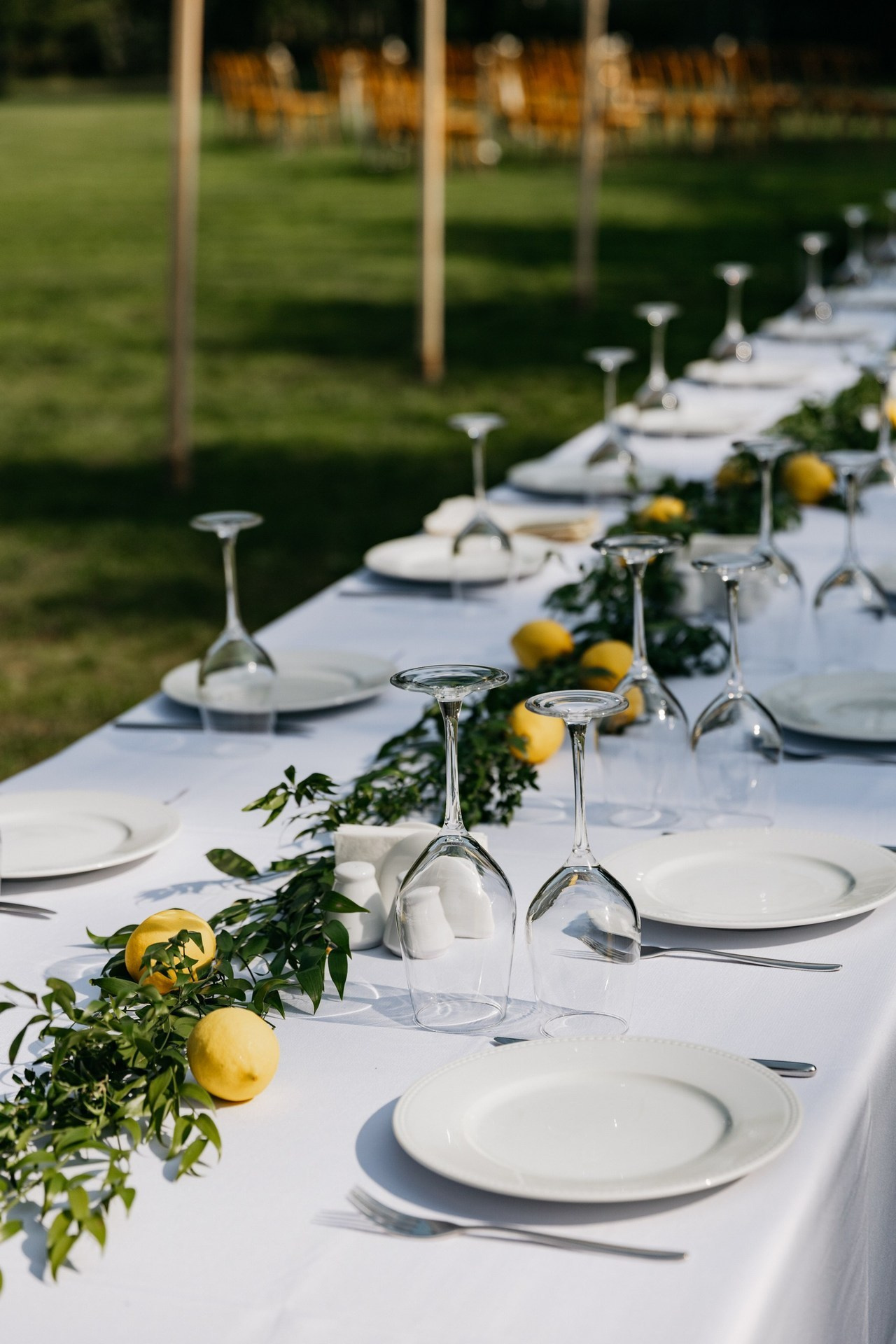 Отзывы. Свадебный и репортажный фотограф в Санкт-Петербурге