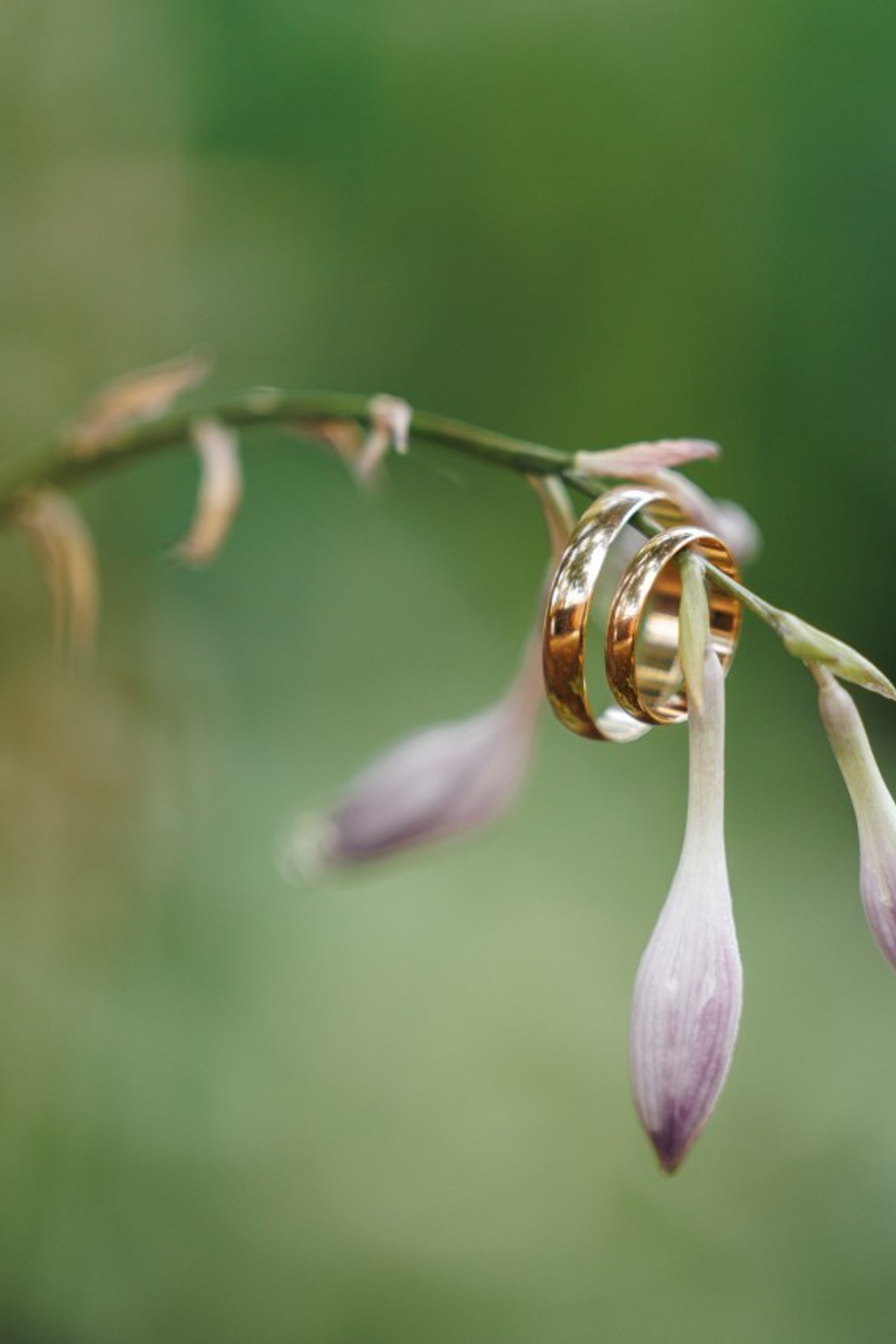 Отзывы. Свадебный и семейный фотограф в Воронеже Алексей Мешалкин