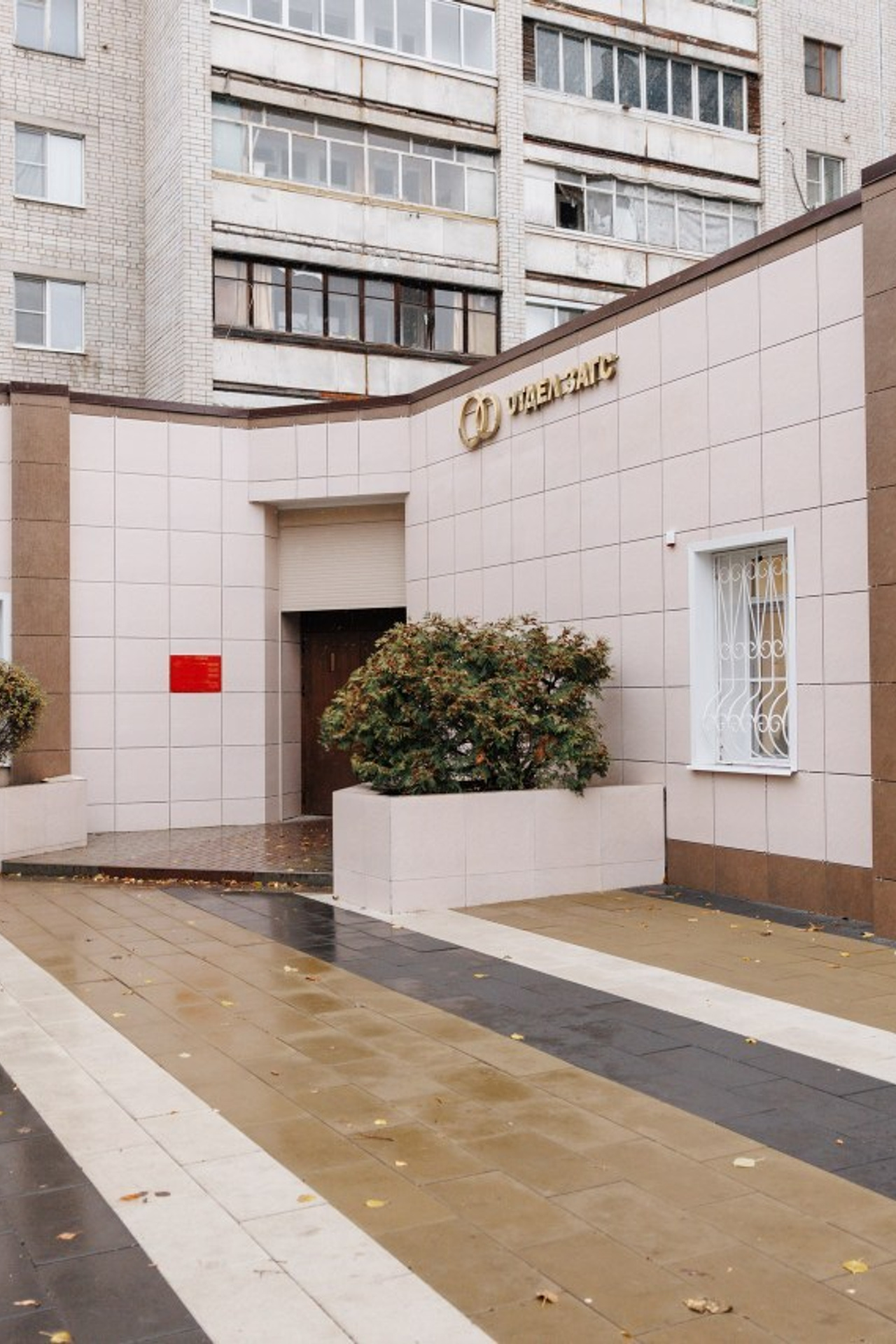 Отзывы. Свадебный и семейный фотограф в Воронеже Алексей Мешалкин