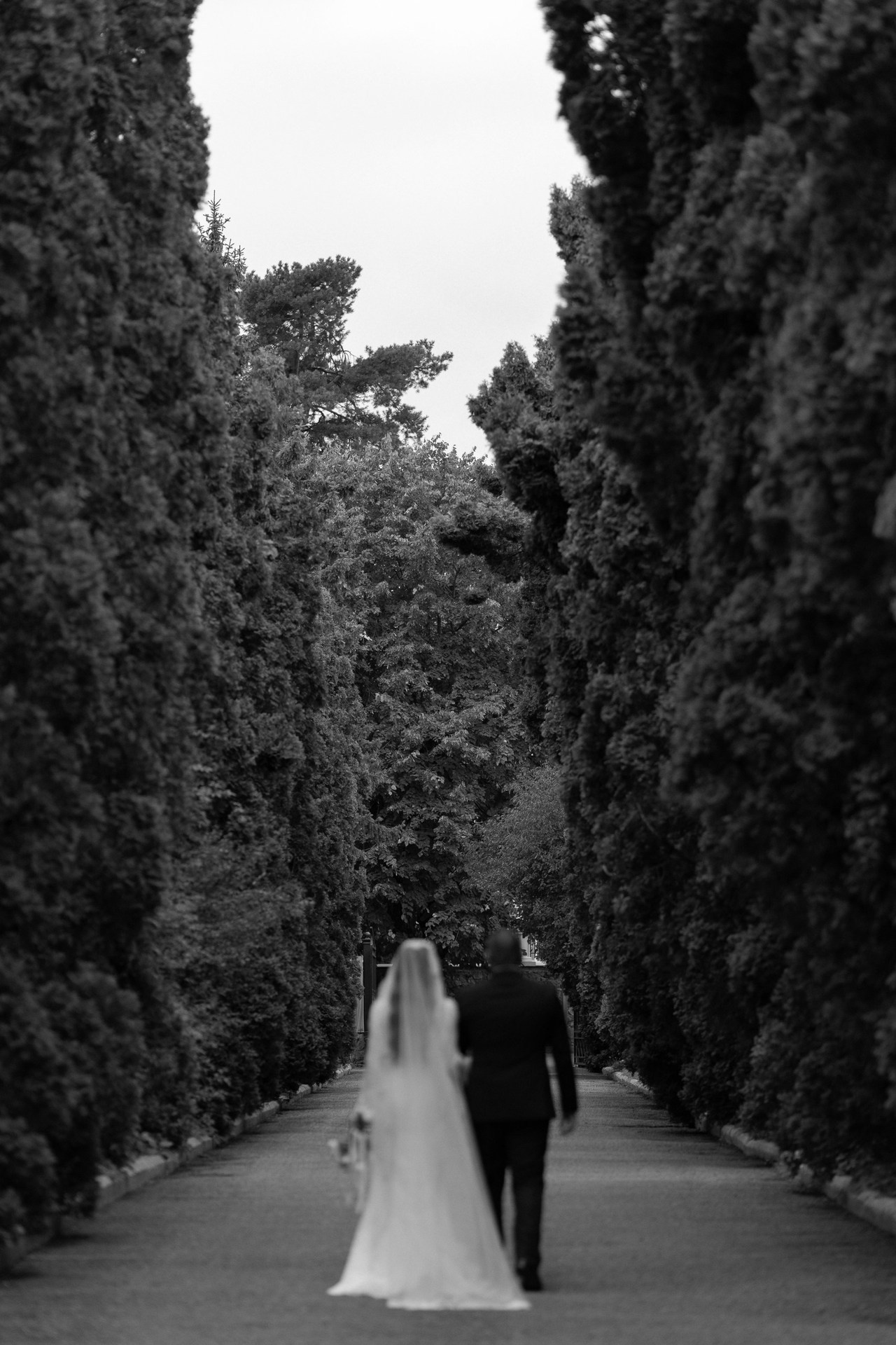 Отзывы. Свадебный фотограф Казбек Бештоев