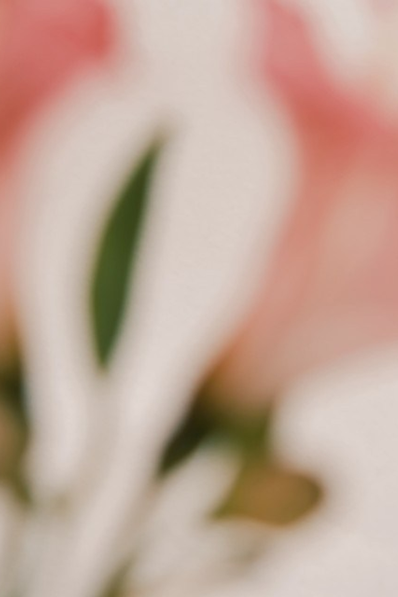 Цветы. Visual artist