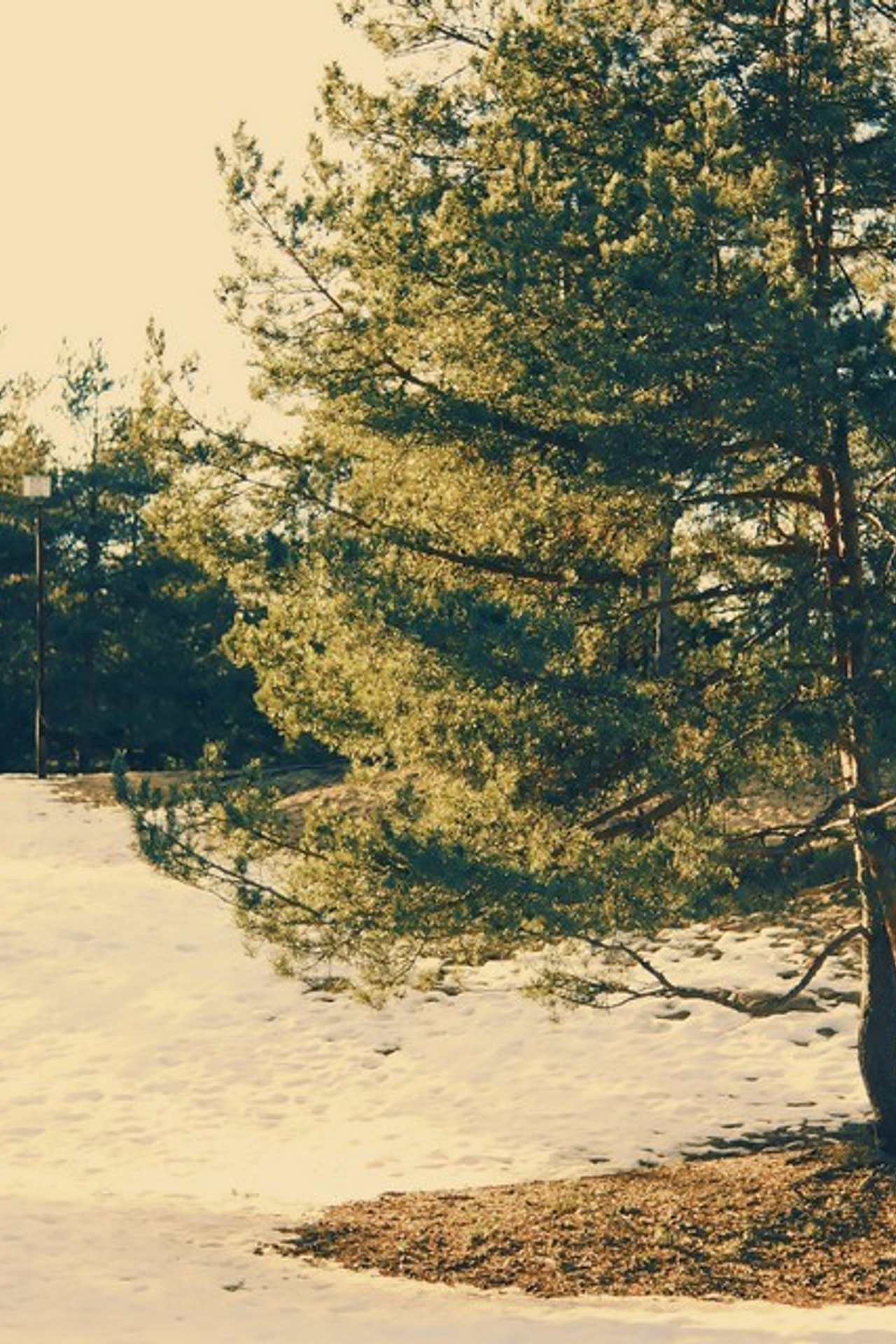 Природа. Visual artist