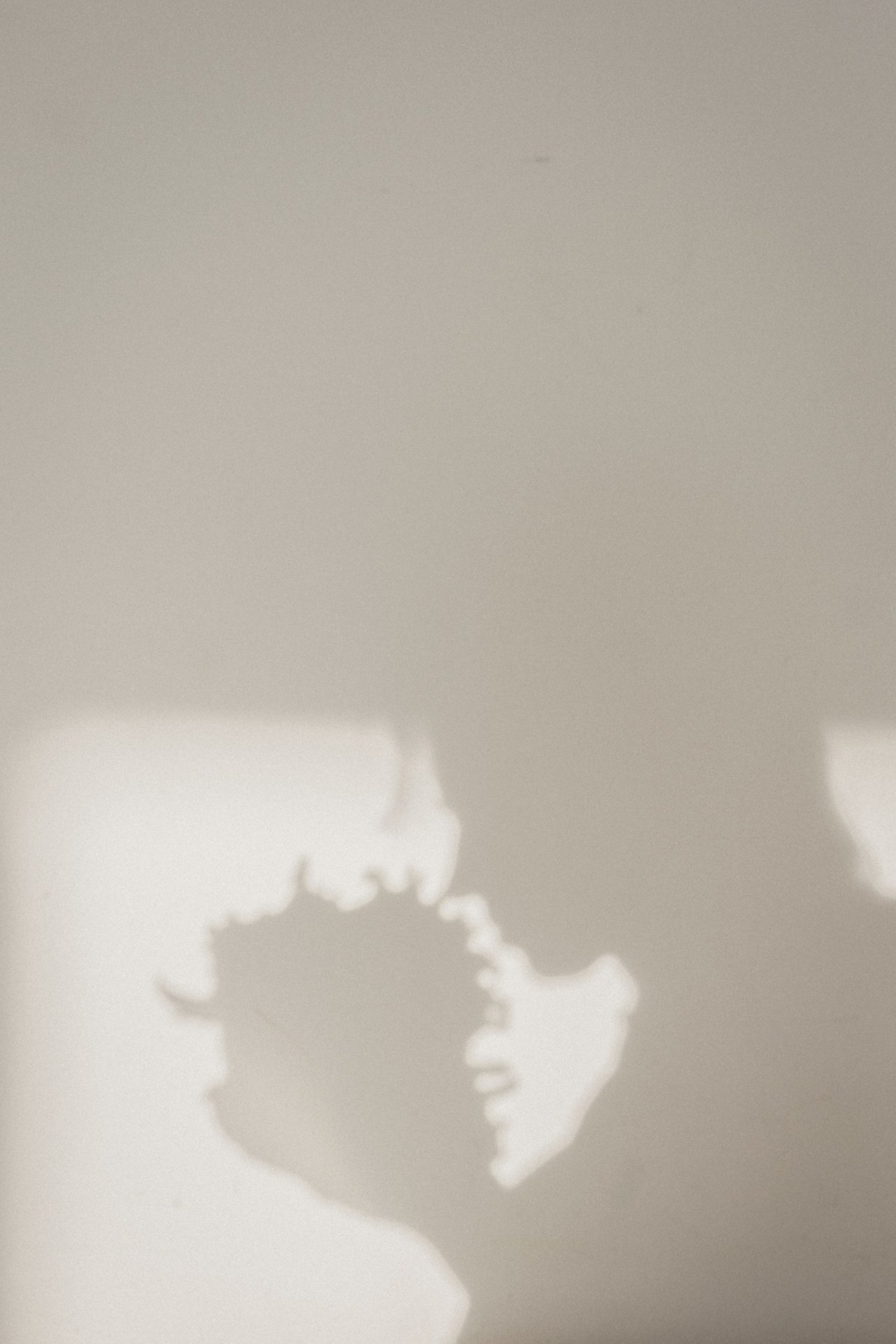 Отзывы. Фотограф Иркутск