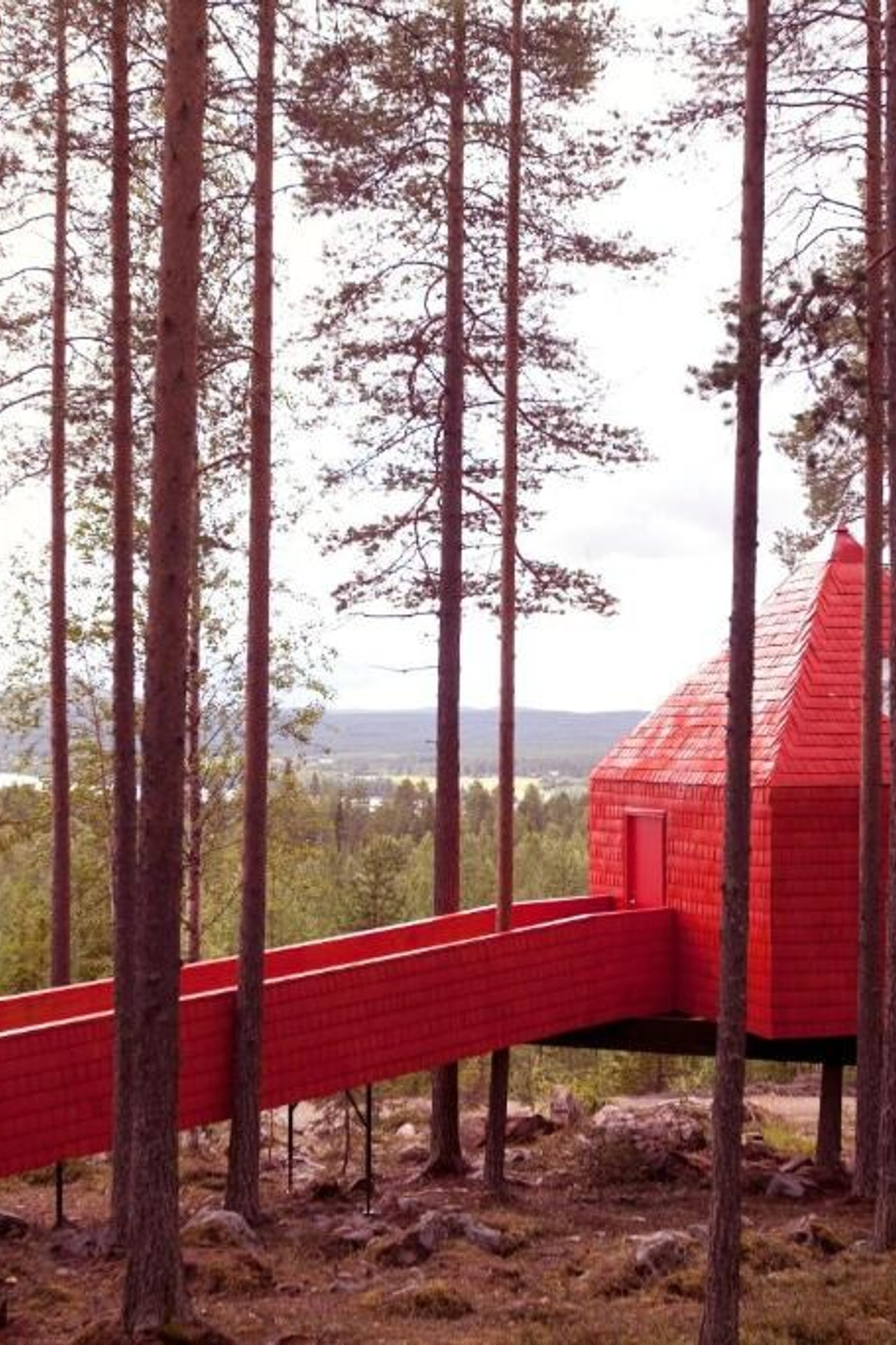Treehotel, Швеция от&nbsp;60 т.р