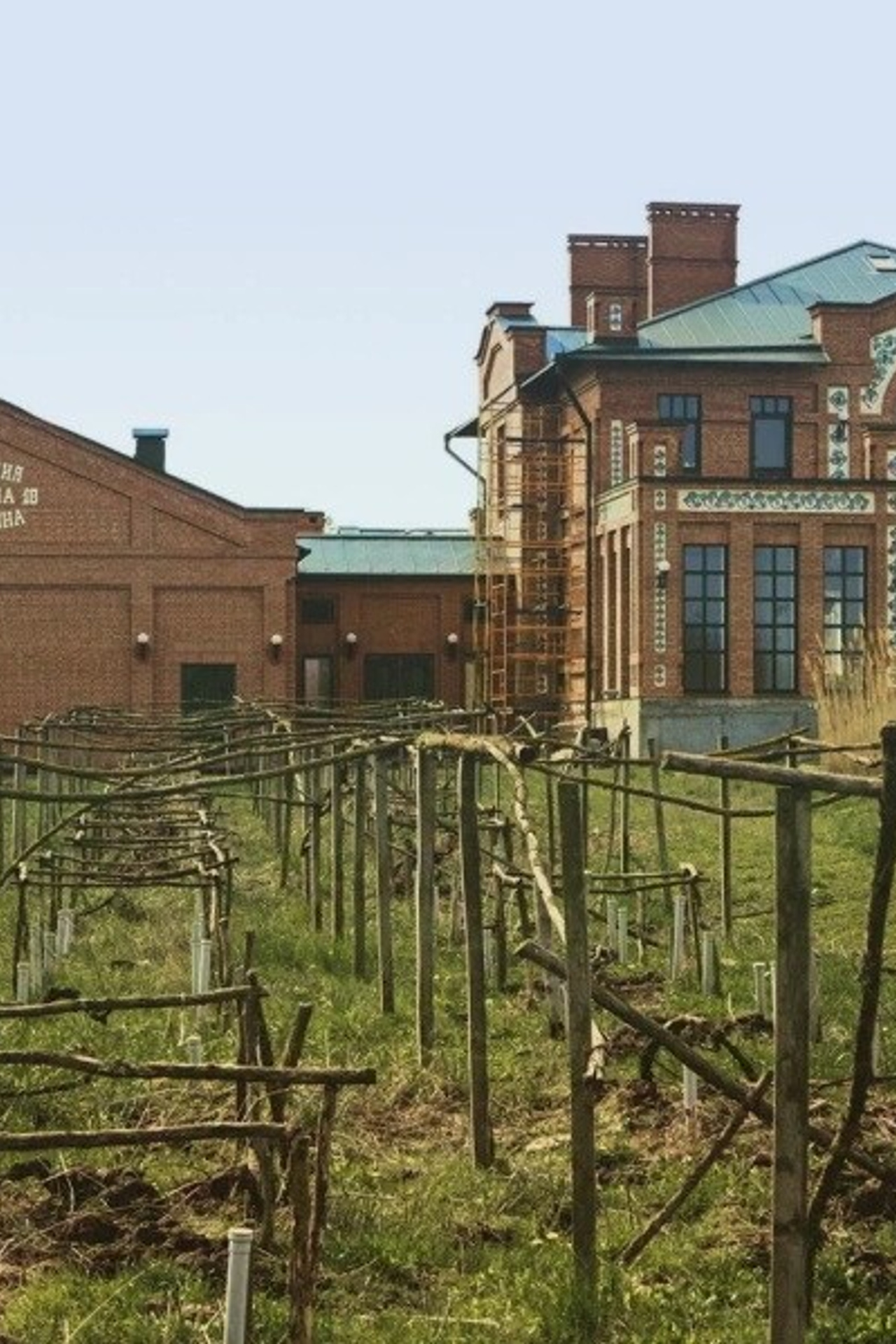 «Вина Арпачина»