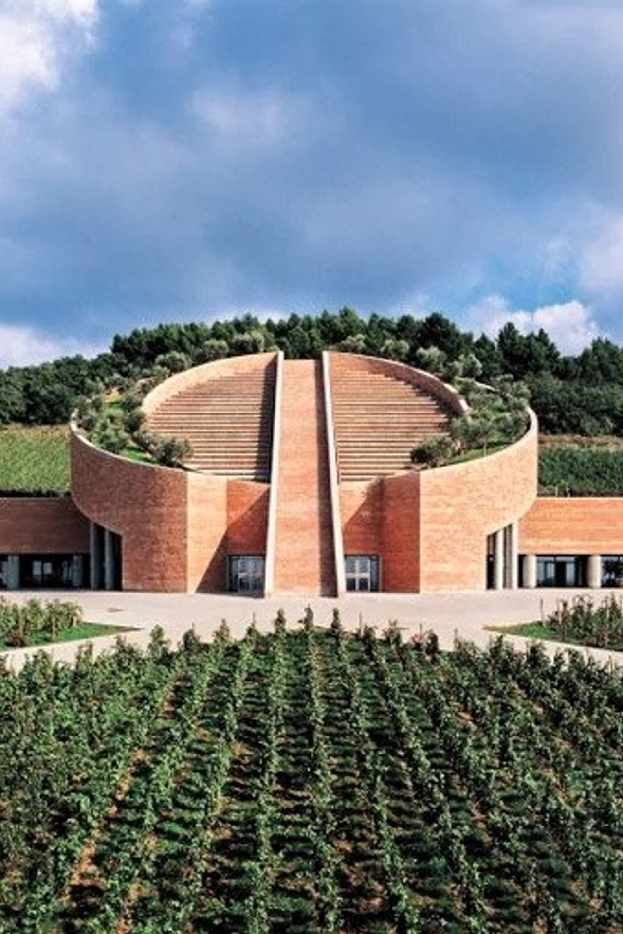 Petra Winery Италия