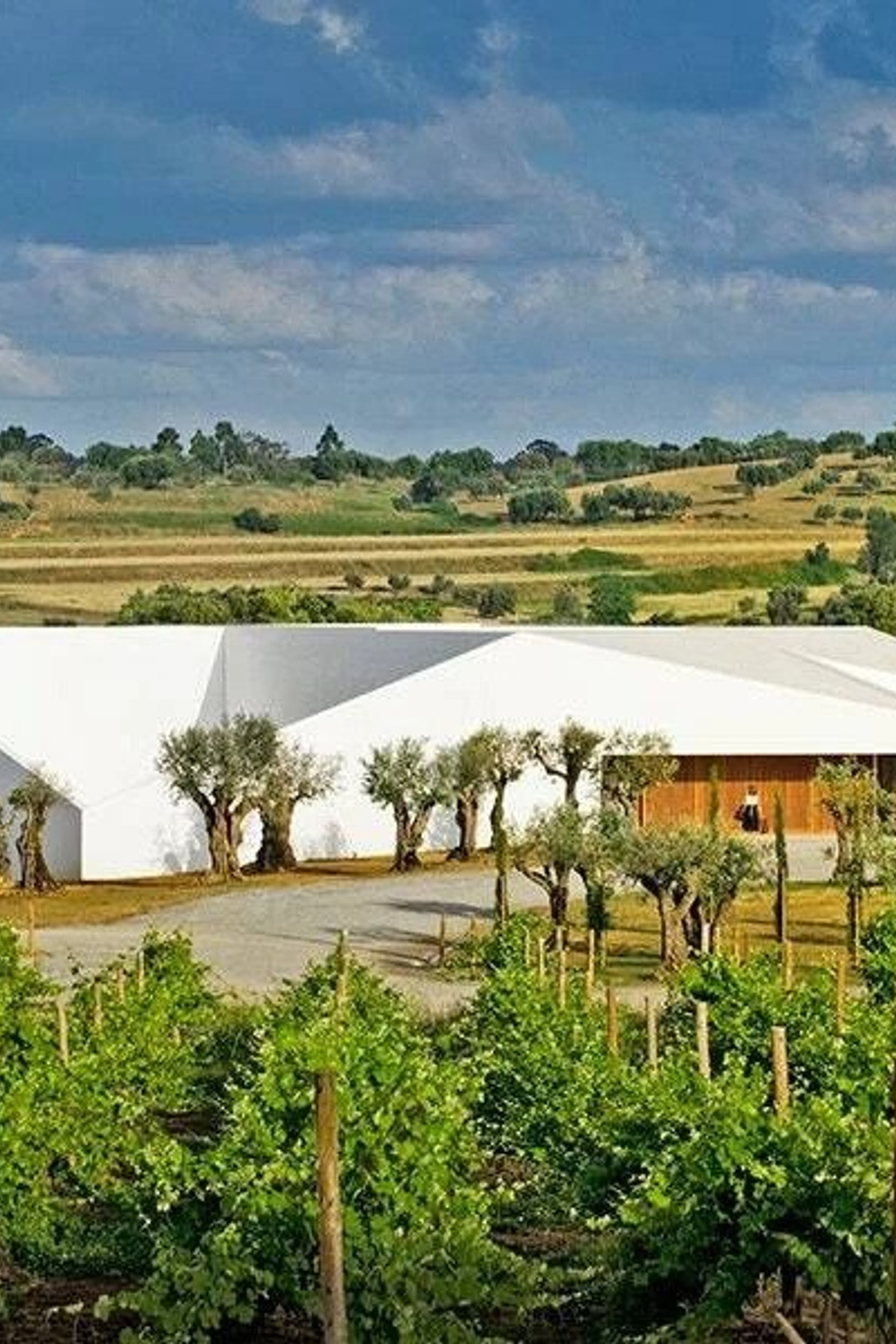 L’And Vineyards Португалия
