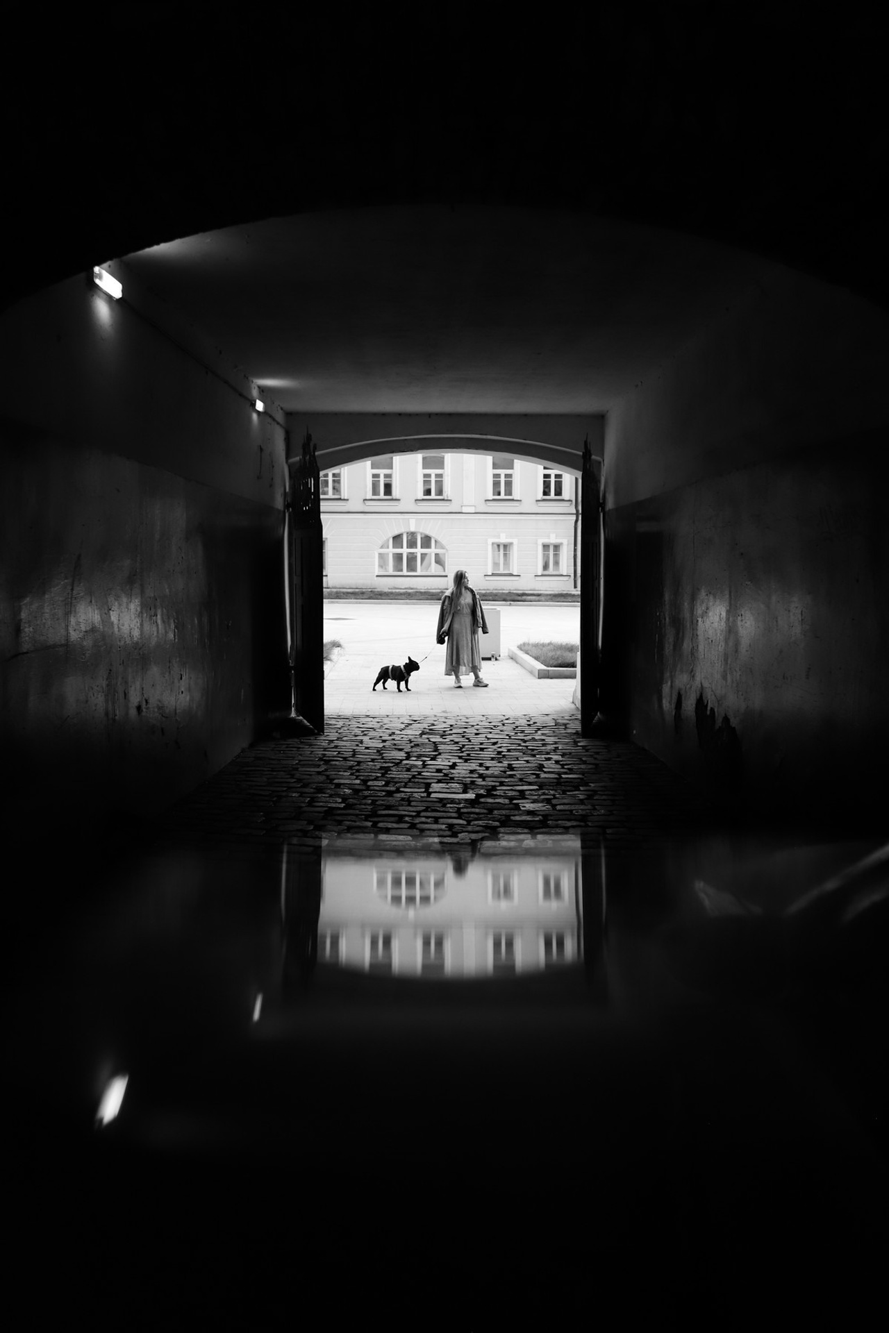 Девушка с собакой