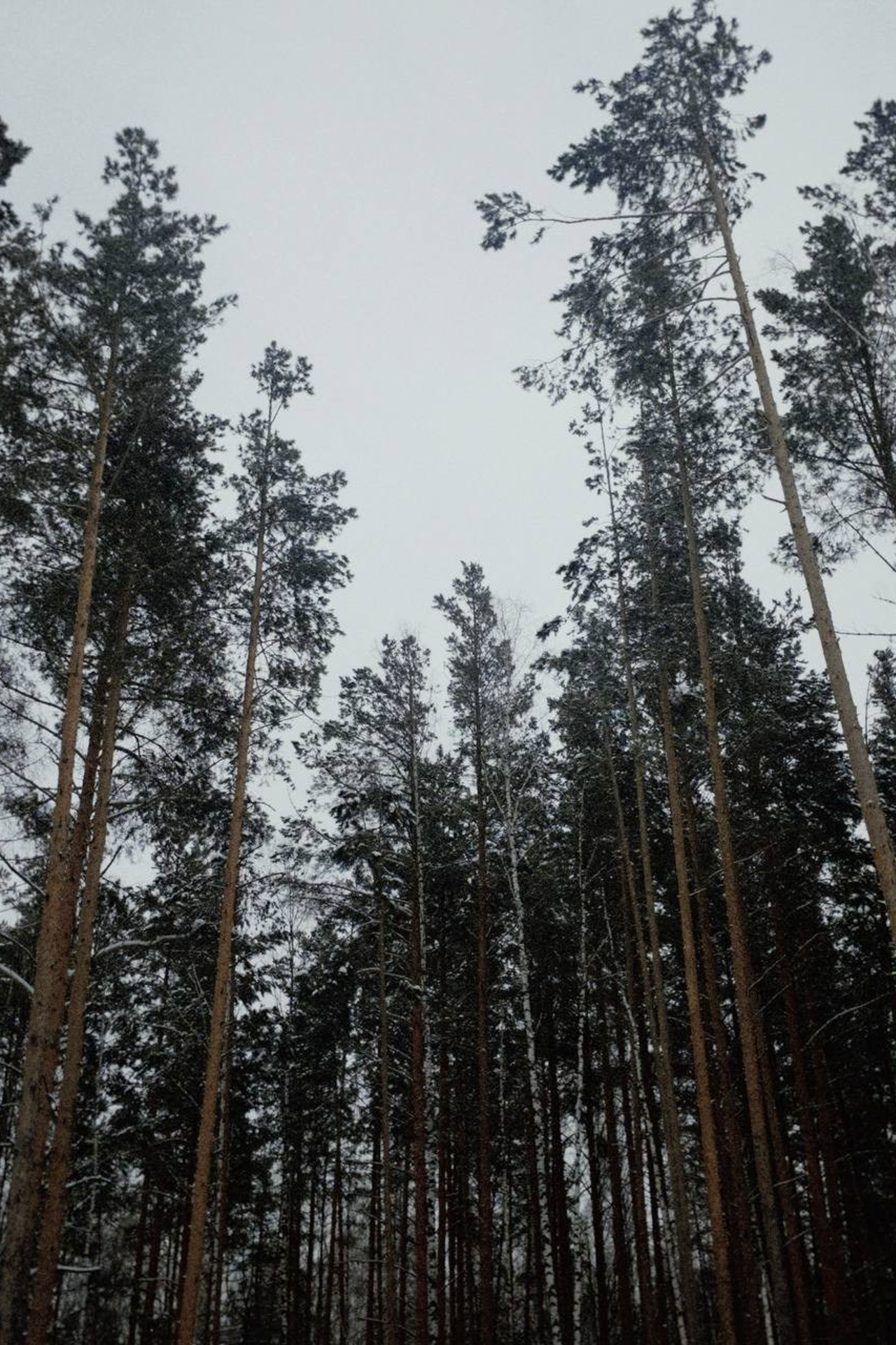 Выходные. Портретный фотограф | Олеся Комарова | Екатеринбург