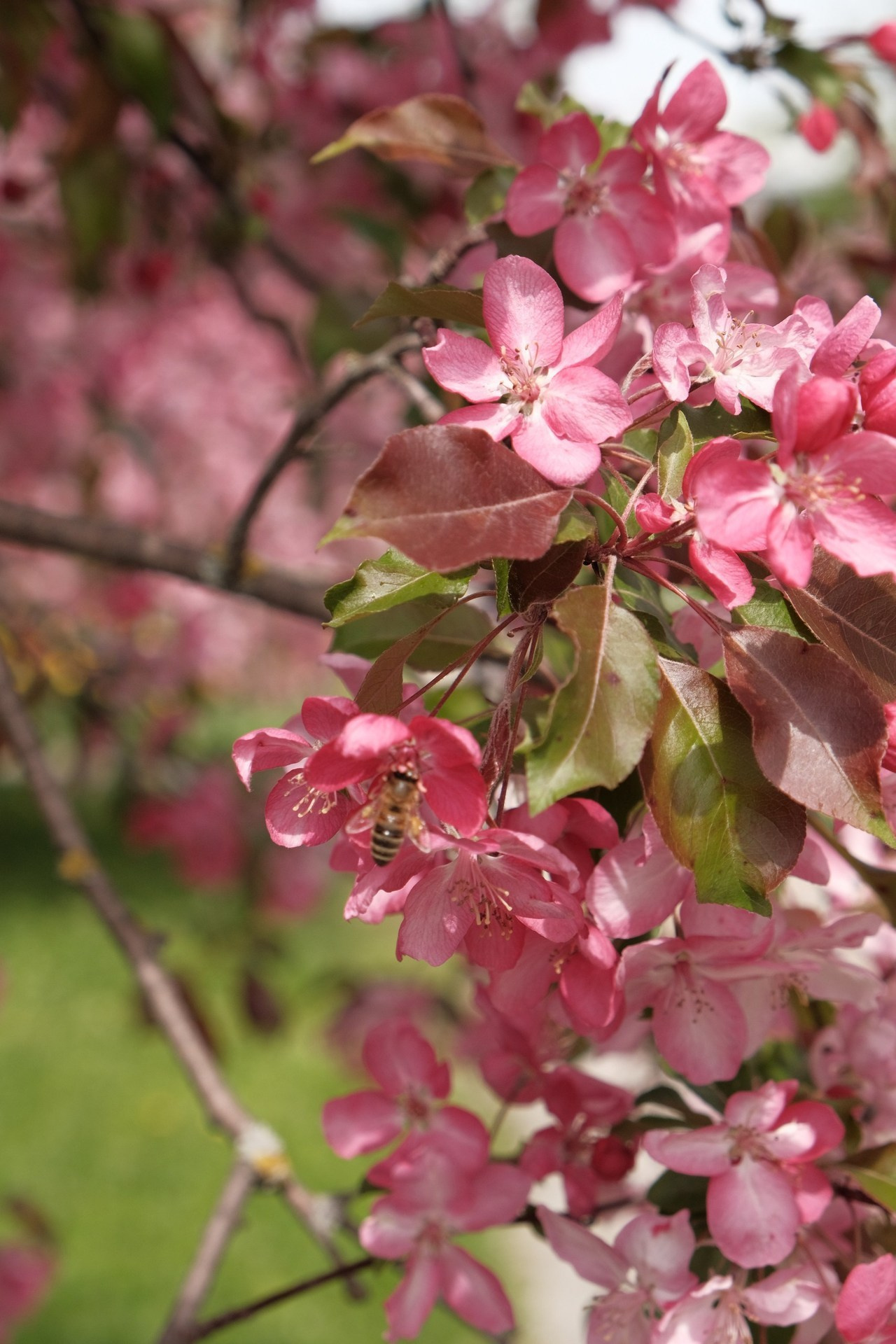 Отзывы. Фотограф в Краснодаре