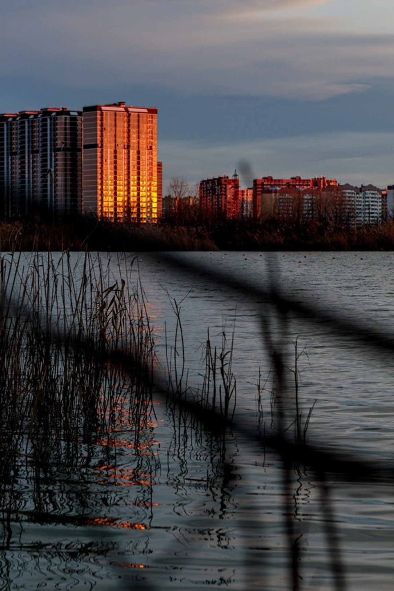 Отзывы. Https://lisenkofotograf.ru