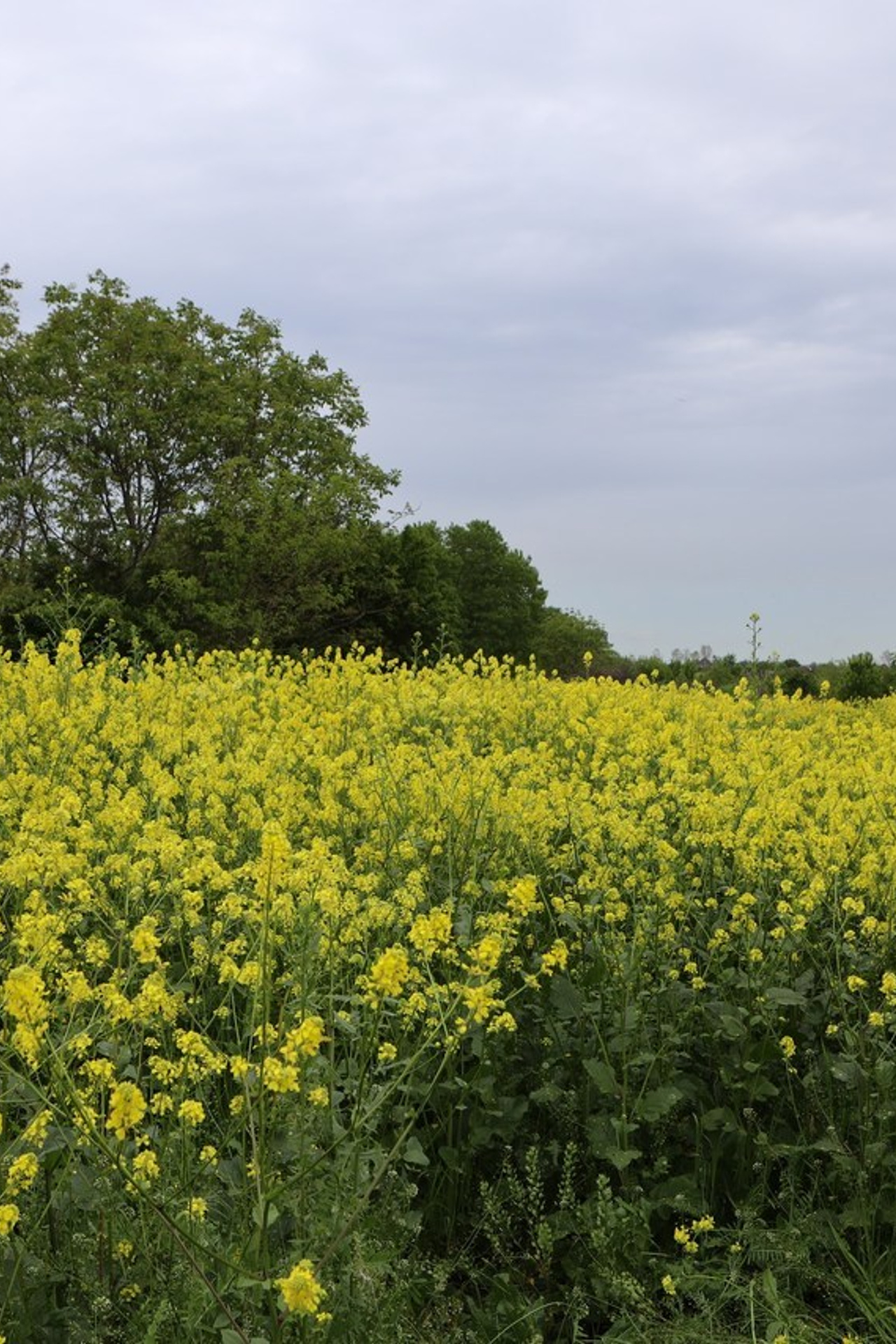 Отзывы. Https://lisenkofotograf.ru