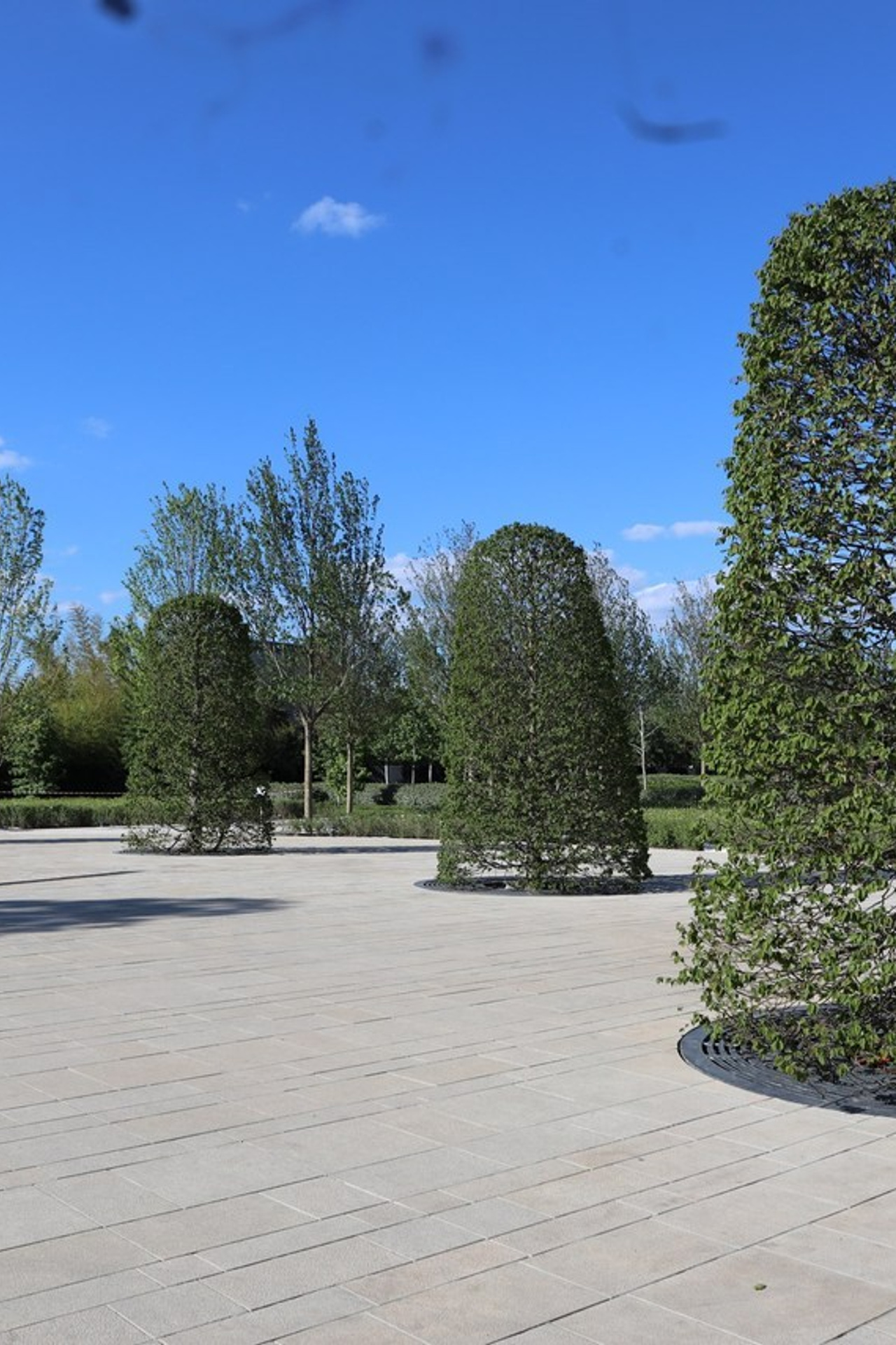 Отзывы. Https://lisenkofotograf.ru