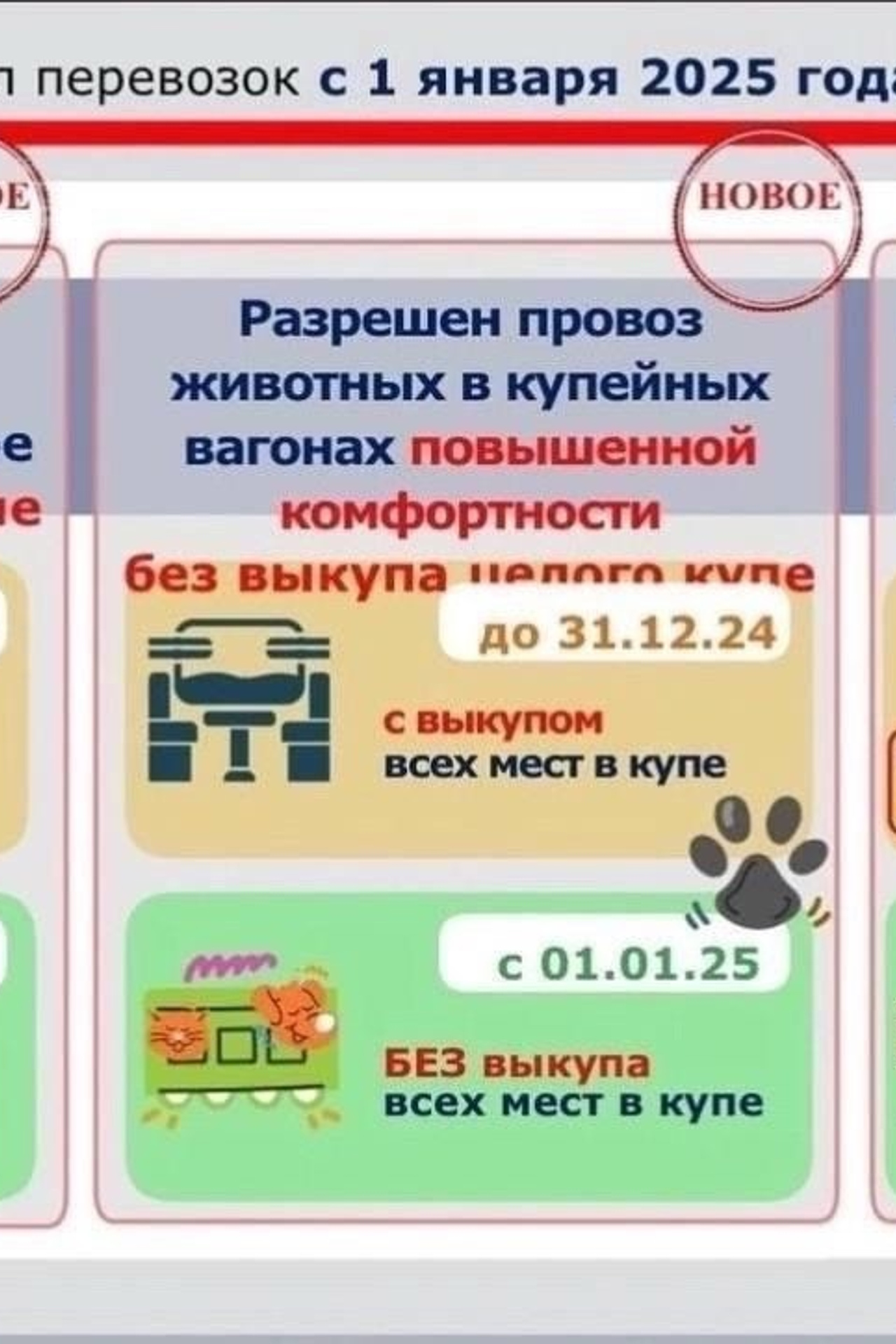 Полезная информация о собаках. ПИТОМНИК СОБАК ПОРОДЫ АМЕРИКАНСКИЙ БУЛЛИ