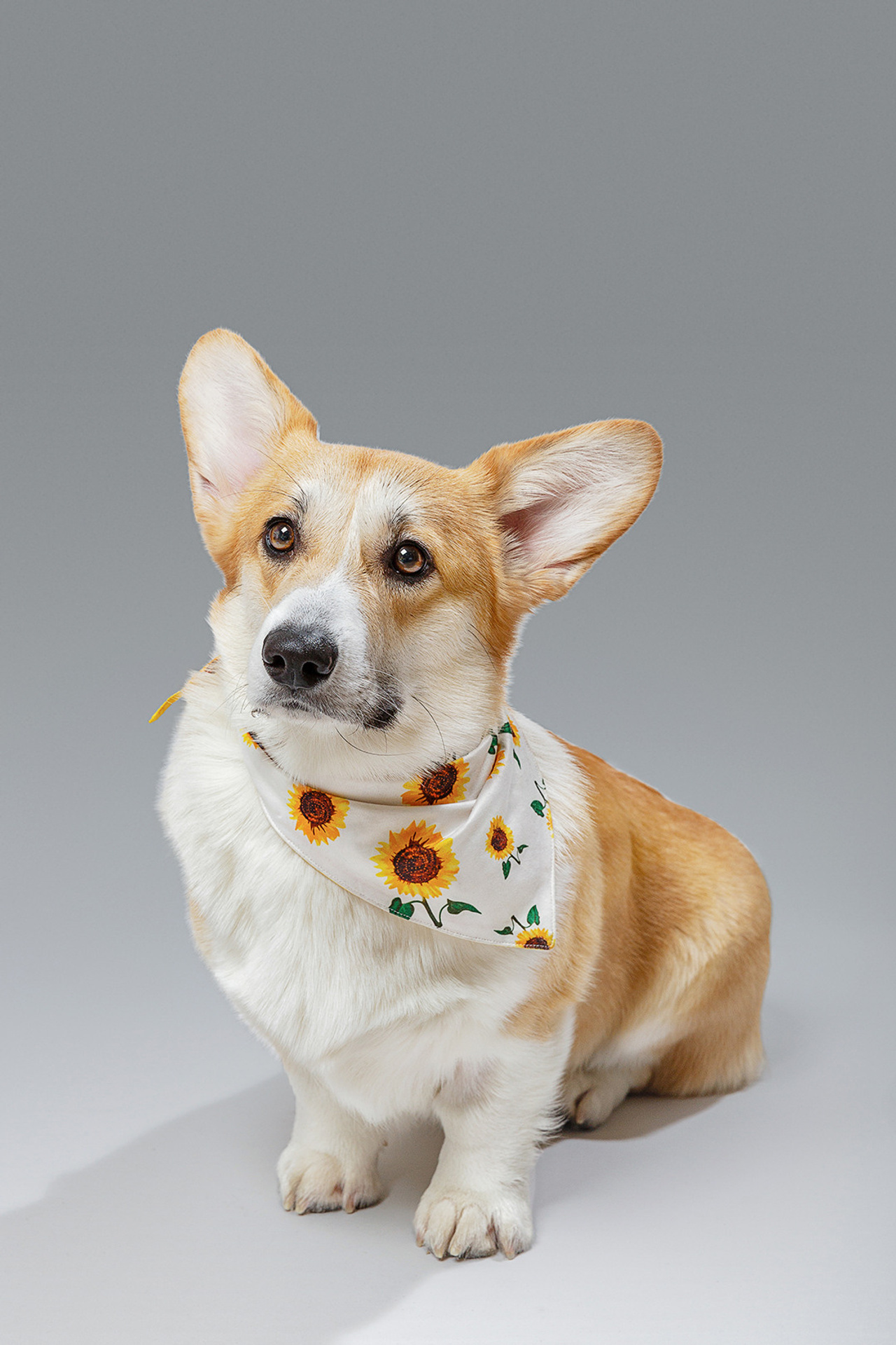 Фотосъёмка сотрудников для сайта компании commint.ru