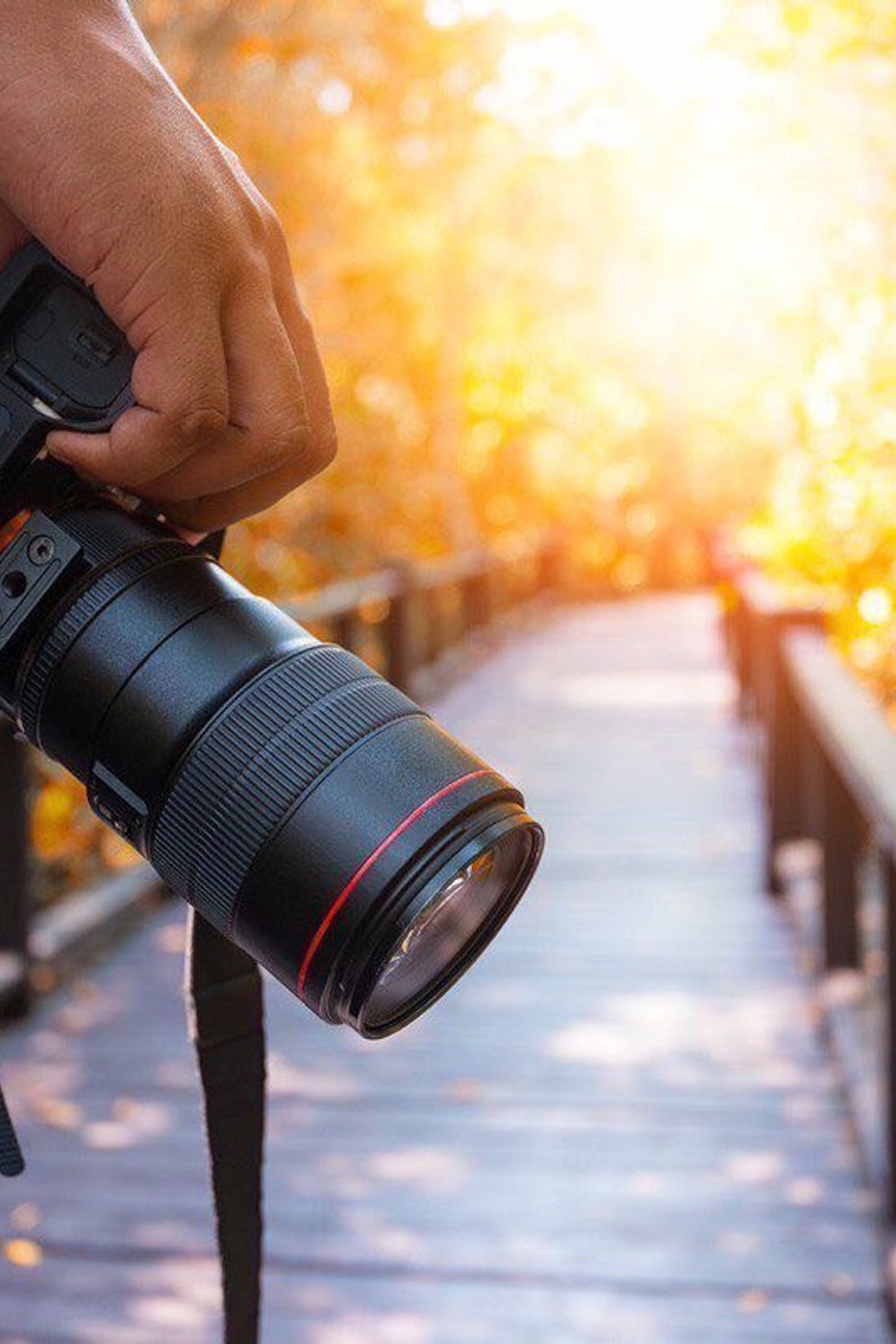 Отзывы (Вифолио). Фотограф Герман