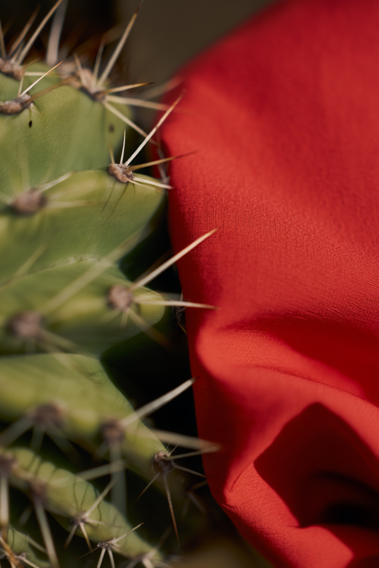 |CHUКСНА|-бренд одежды. ИИ-креатор, дизайн в нейросетях- AKKKIRA AI Design