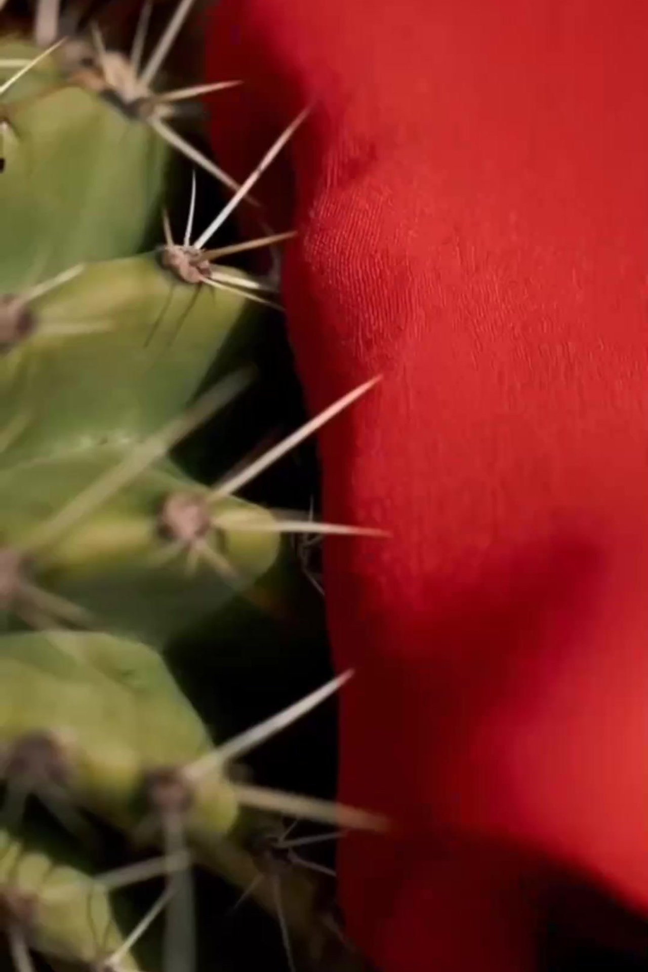 |CHUКСНА|-бренд одежды. ИИ-креатор, дизайн в нейросетях- AKKKIRA AI Design