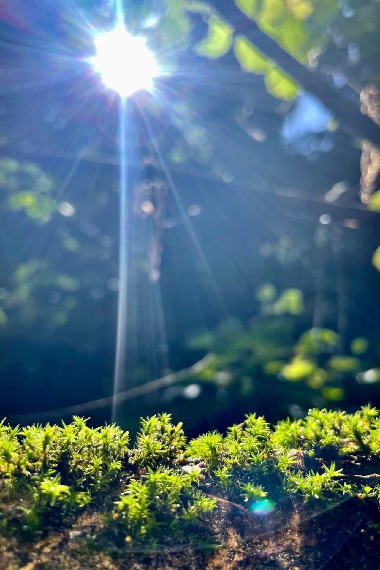 Горный Крым. Путешествия со смыслом