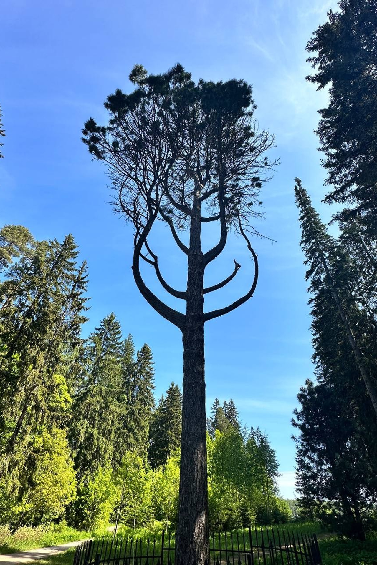 Горный Крым. Путешествия со смыслом