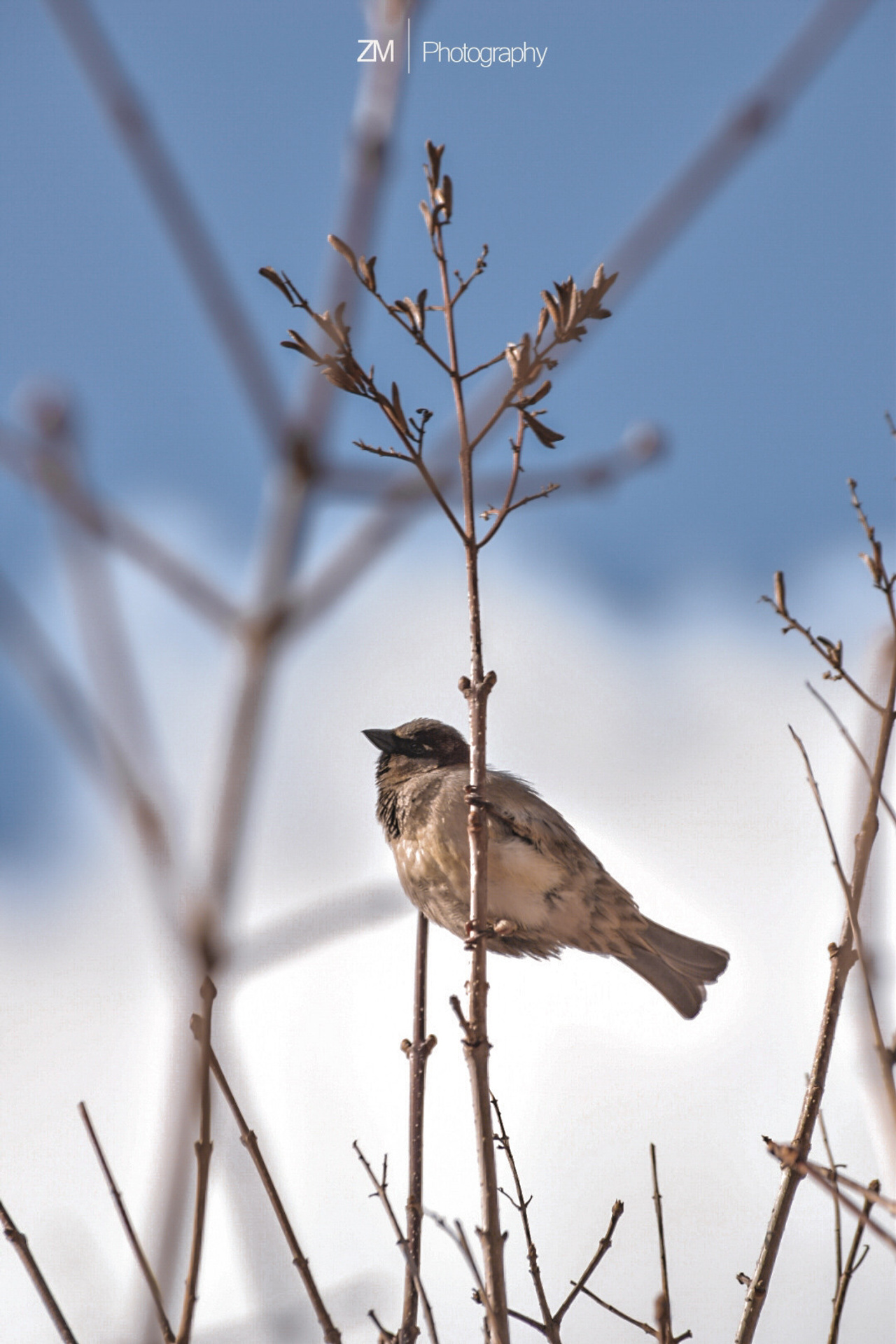 Блог фотографа. Фотограф людей и животных в Санкт-Петербурге Марина Бурмистрова