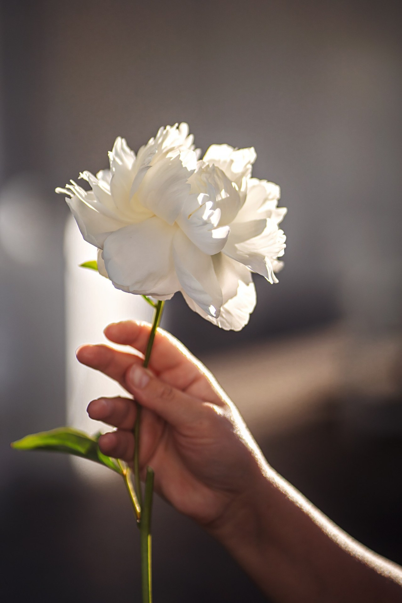 Отзывы. Мила Посвит Фотограф новорожденных в Тобольске